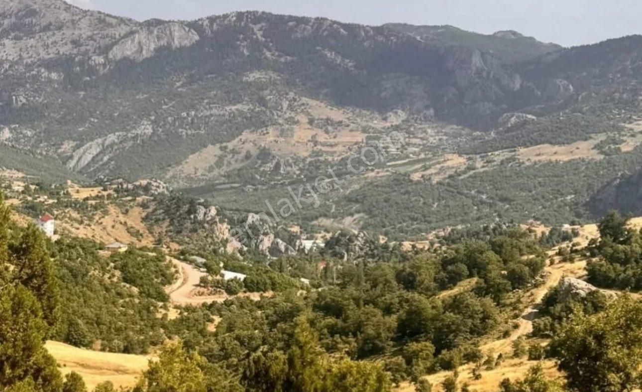 Özvadi Yaylasında 1500 M2 Tarla Alanya