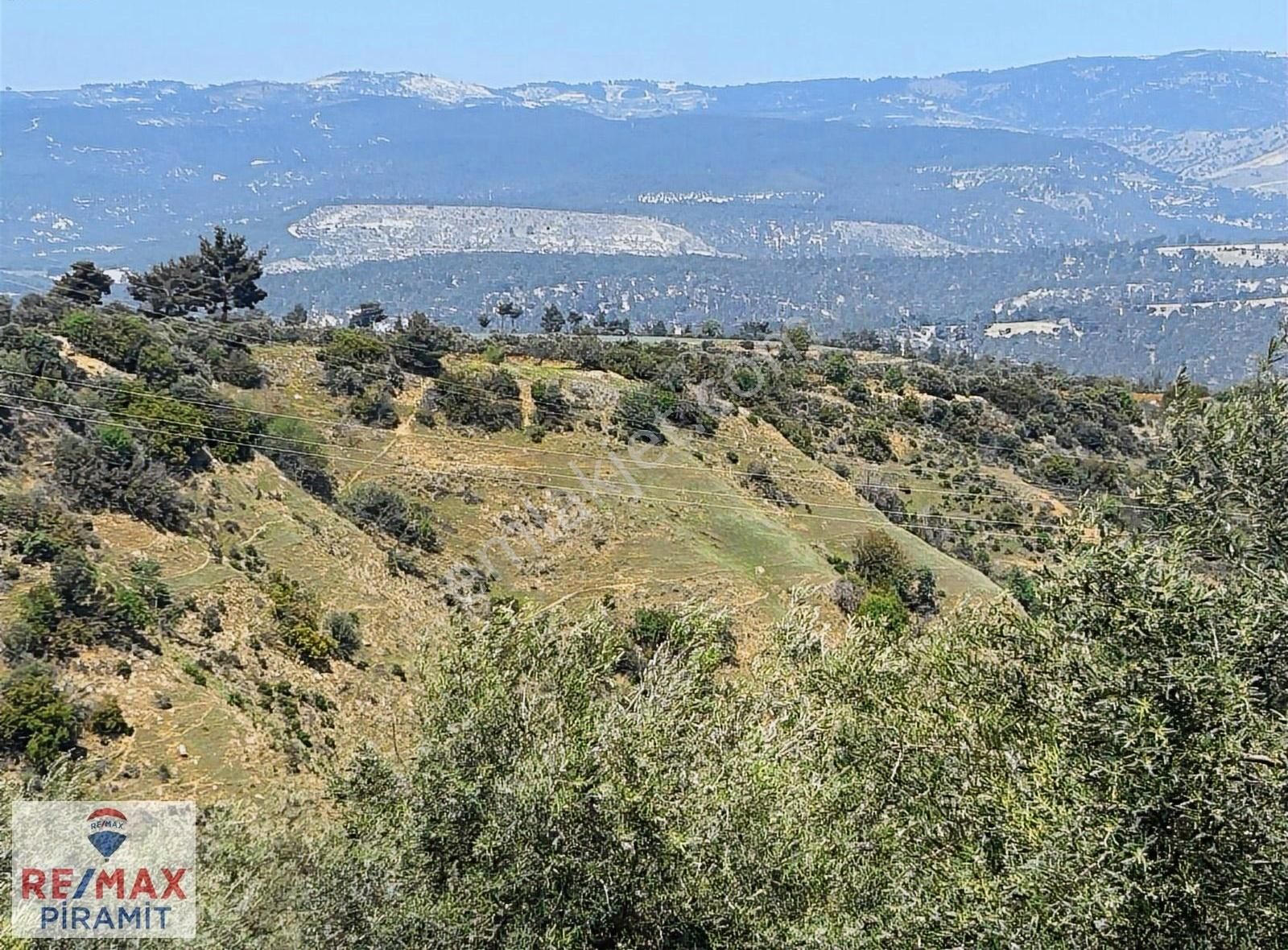 Aydın Karacasu Bereketlı Mah. 76.976m2 Satılık Tarla - Görsel 2