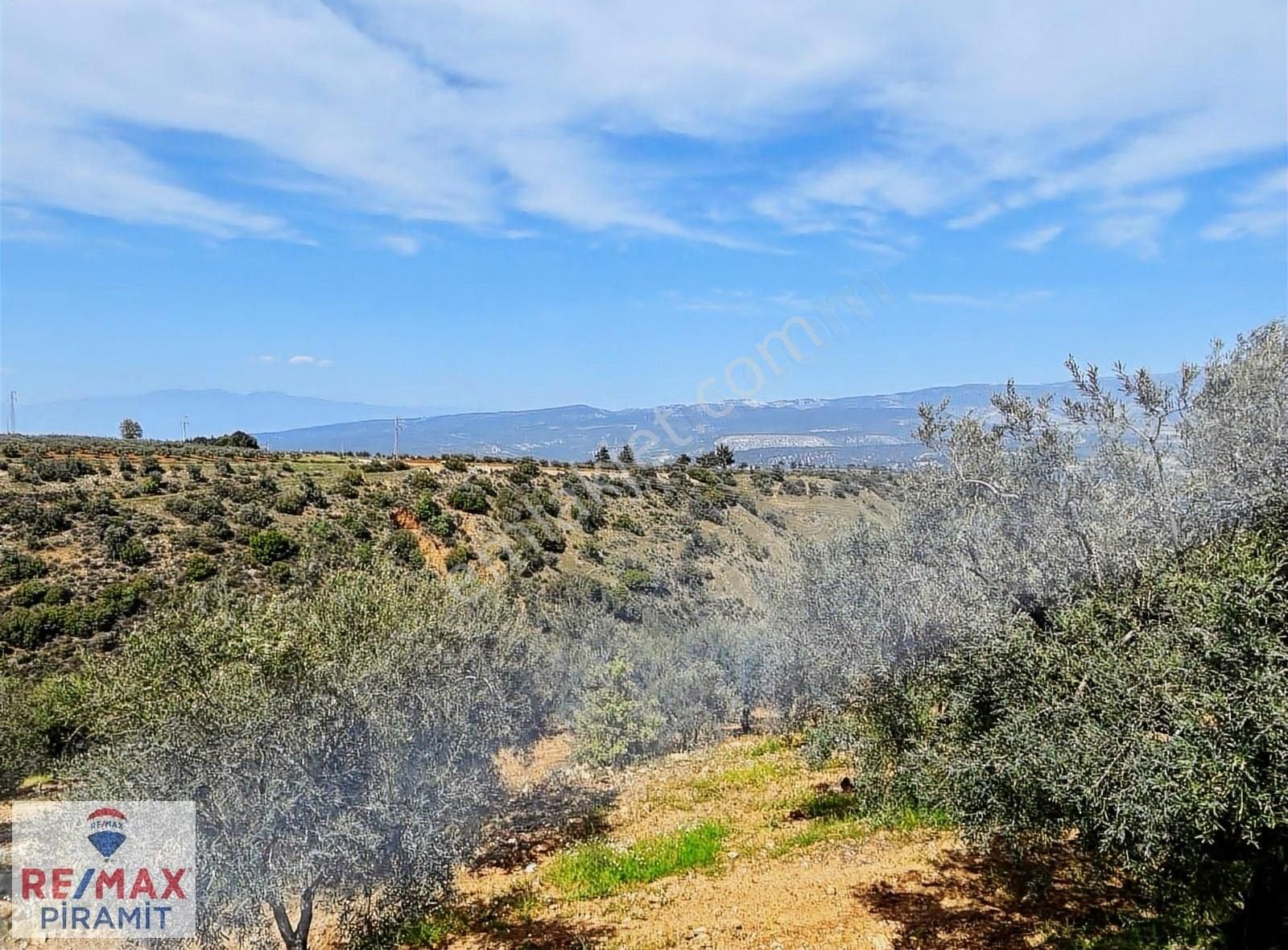 Aydın Karacasu Bereketlı Mah. 76.976m2 Satılık Tarla - Görsel 5