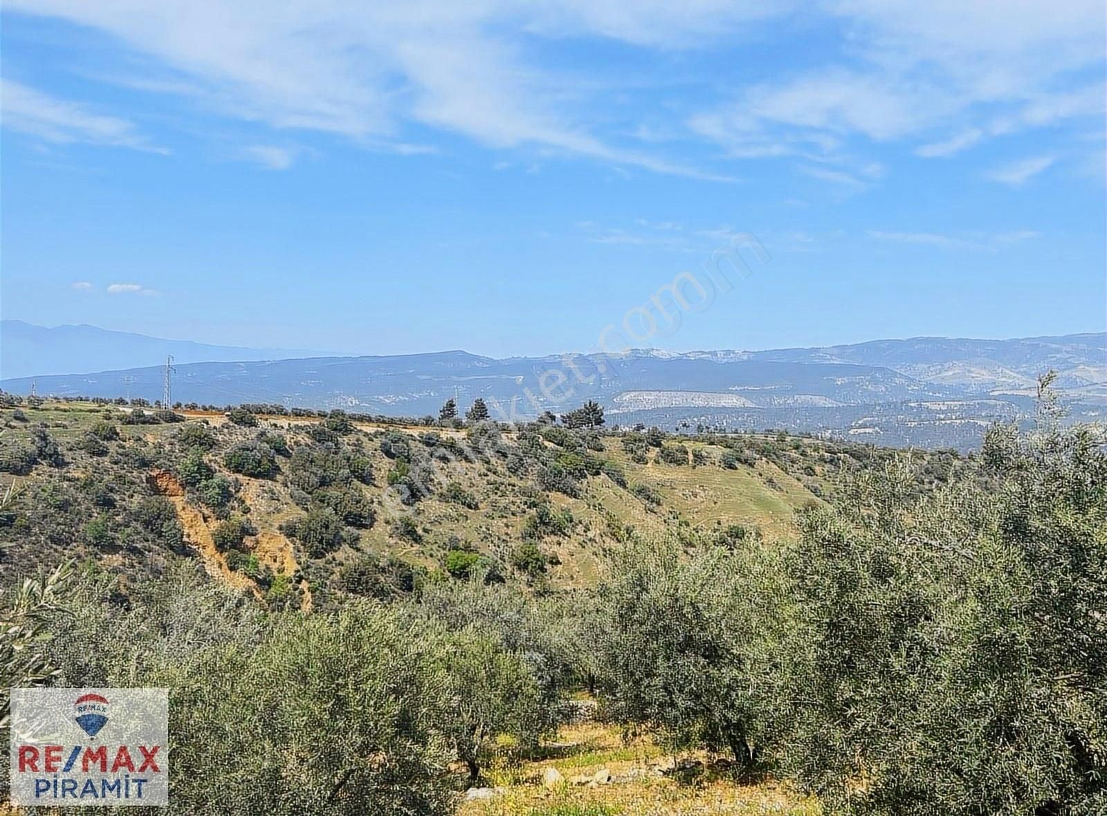 Aydın Karacasu Bereketlı Mah. 76.976m2 Satılık Tarla - Görsel 12