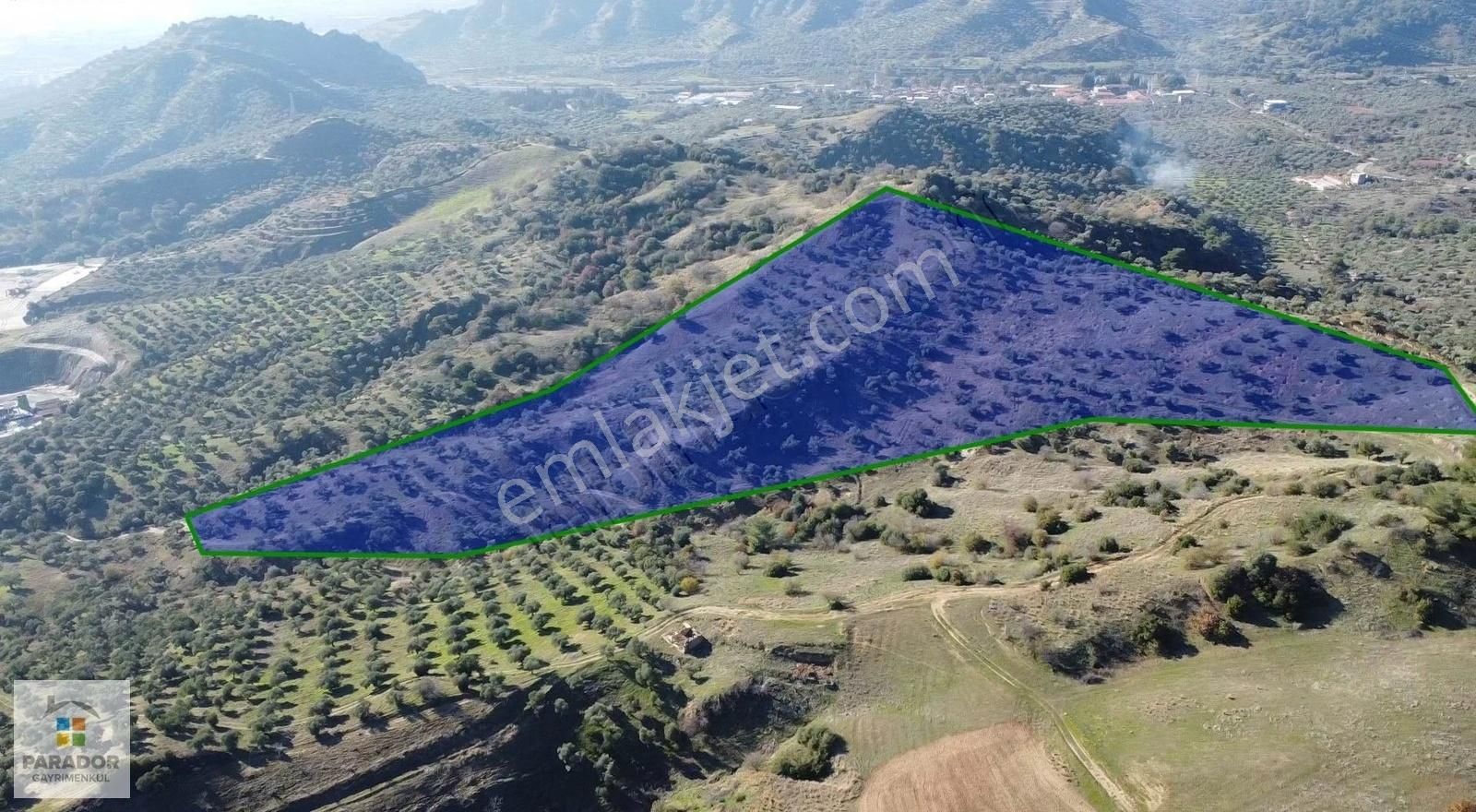 Aydın Köşk Çarşı Mahallesi Satılık 47100 M² Zeytinlik
