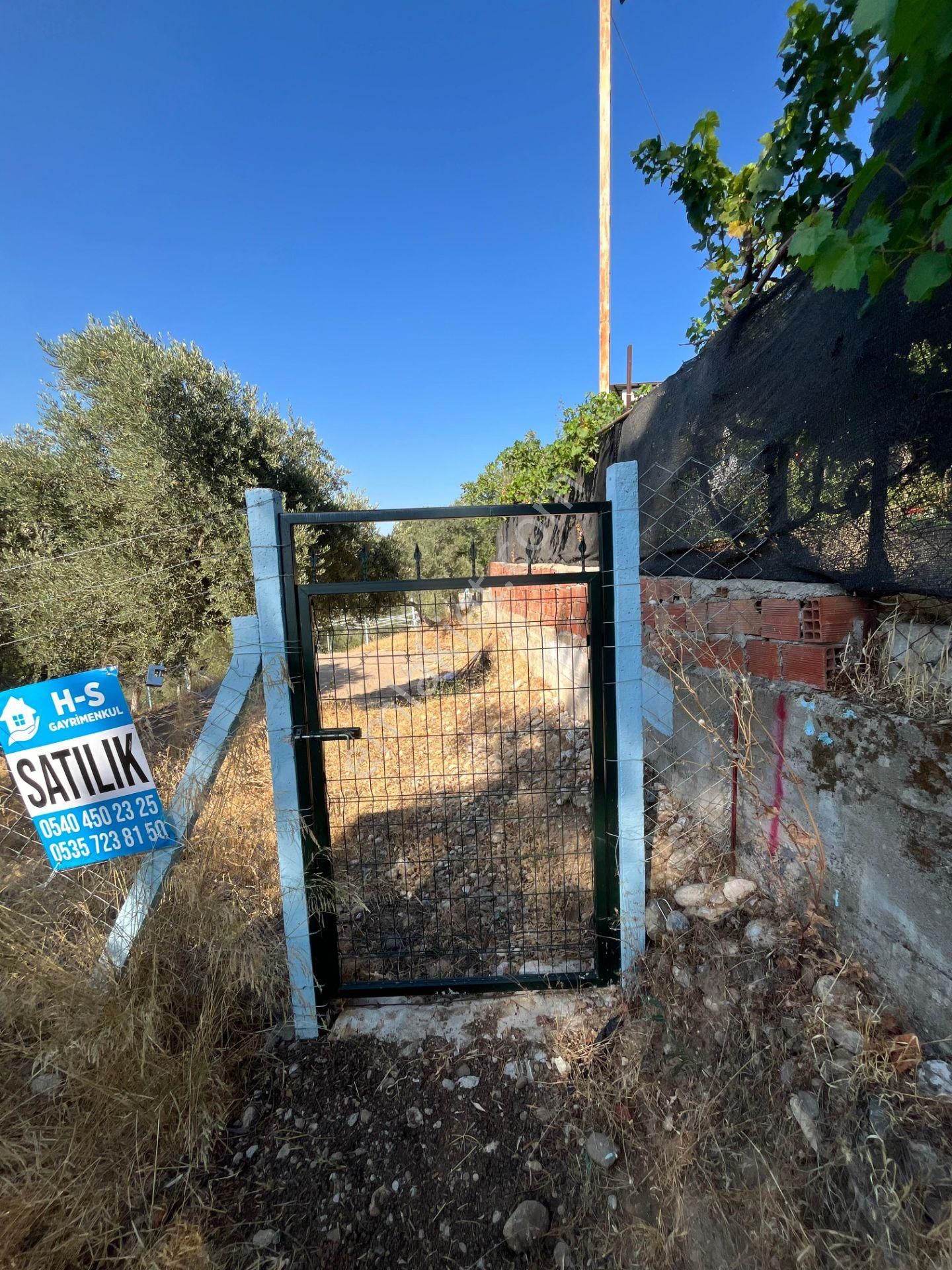 Yatırımlık Konumda Zeytinlik Erişimi Kolay, Köy Bitişiğinde - Görsel 15