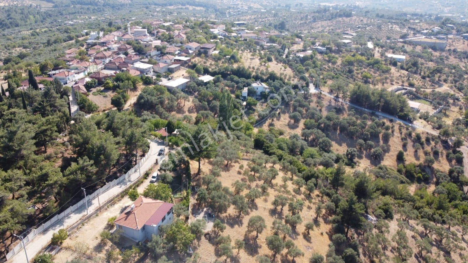 Yatırımlık Konumda Zeytinlik Erişimi Kolay, Köy Bitişiğinde - Görsel 4