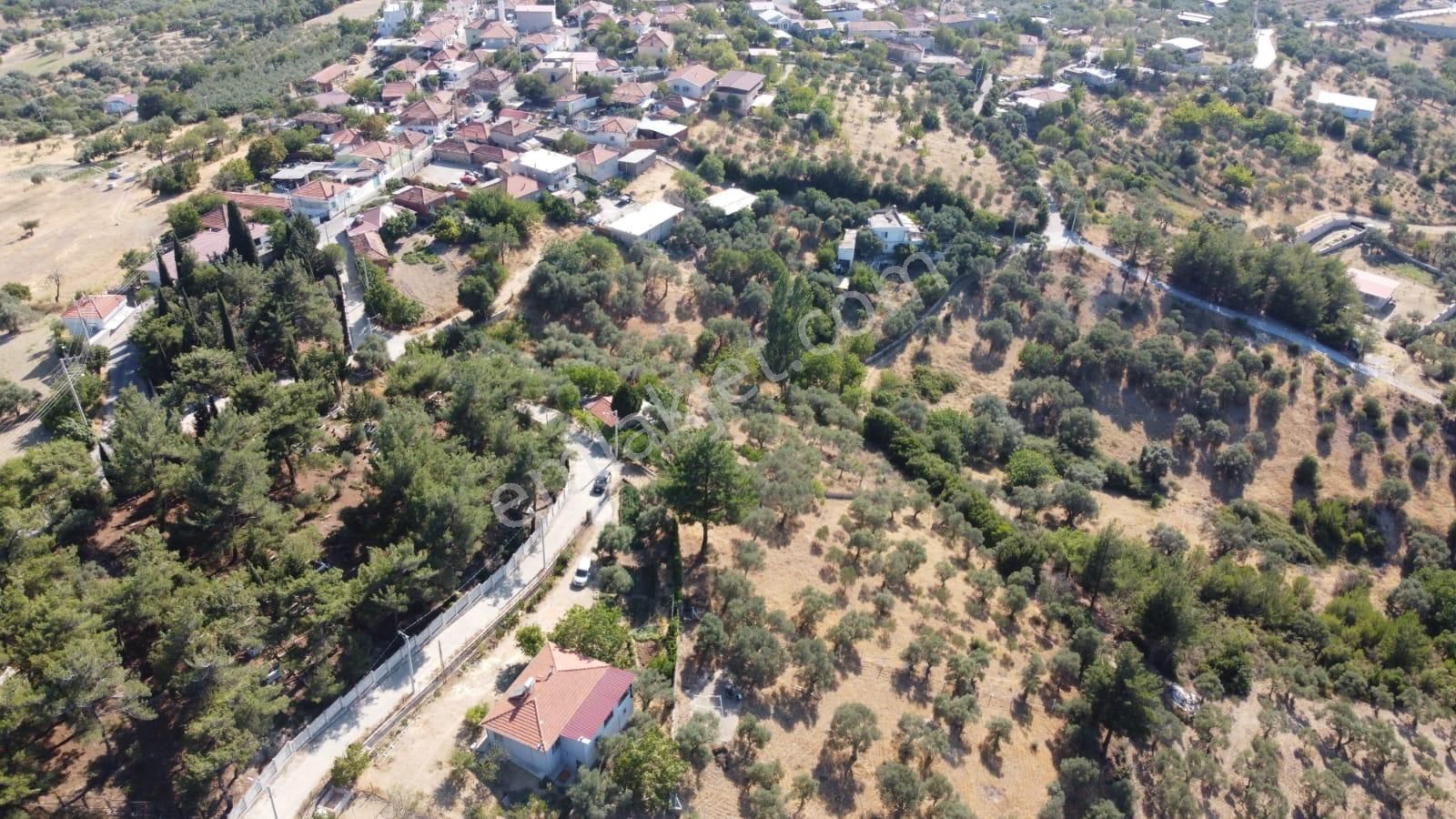 Yatırımlık Konumda Zeytinlik Erişimi Kolay, Köy Bitişiğinde - Görsel 6
