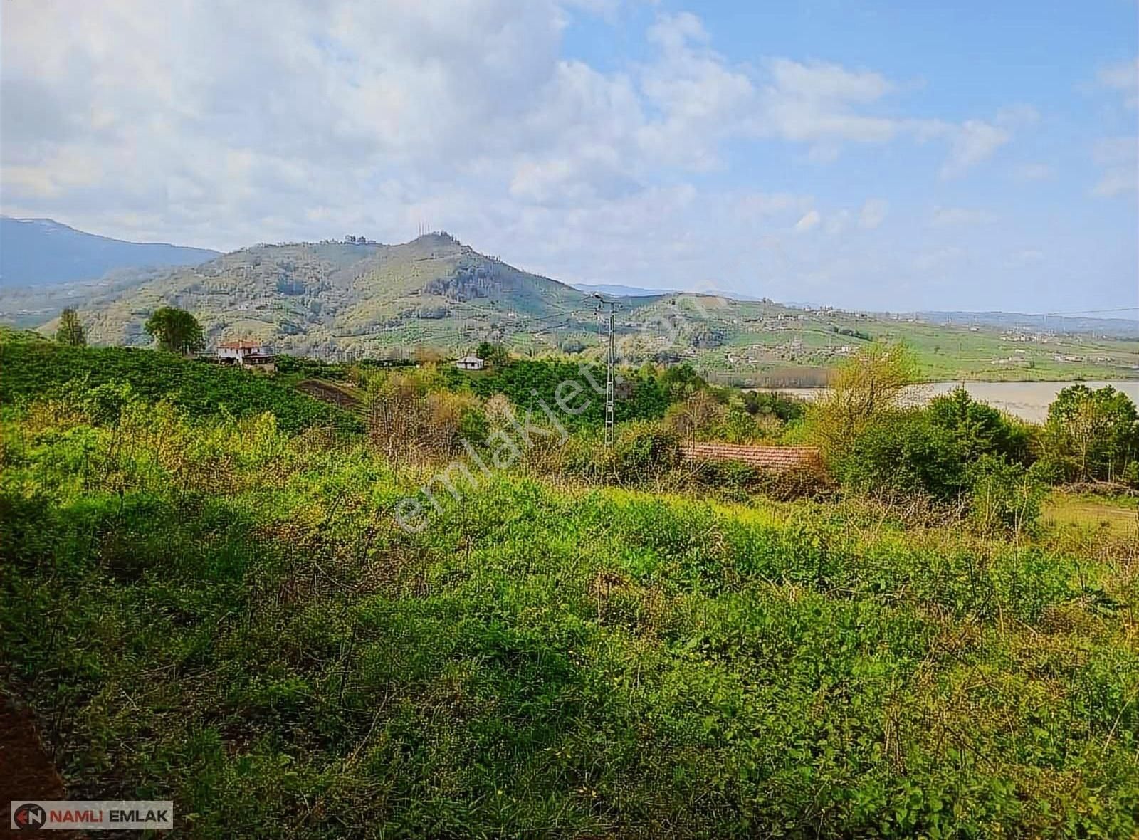 Samsun Çarşamba İlçesi Kolderede Yatırımlık Tarla