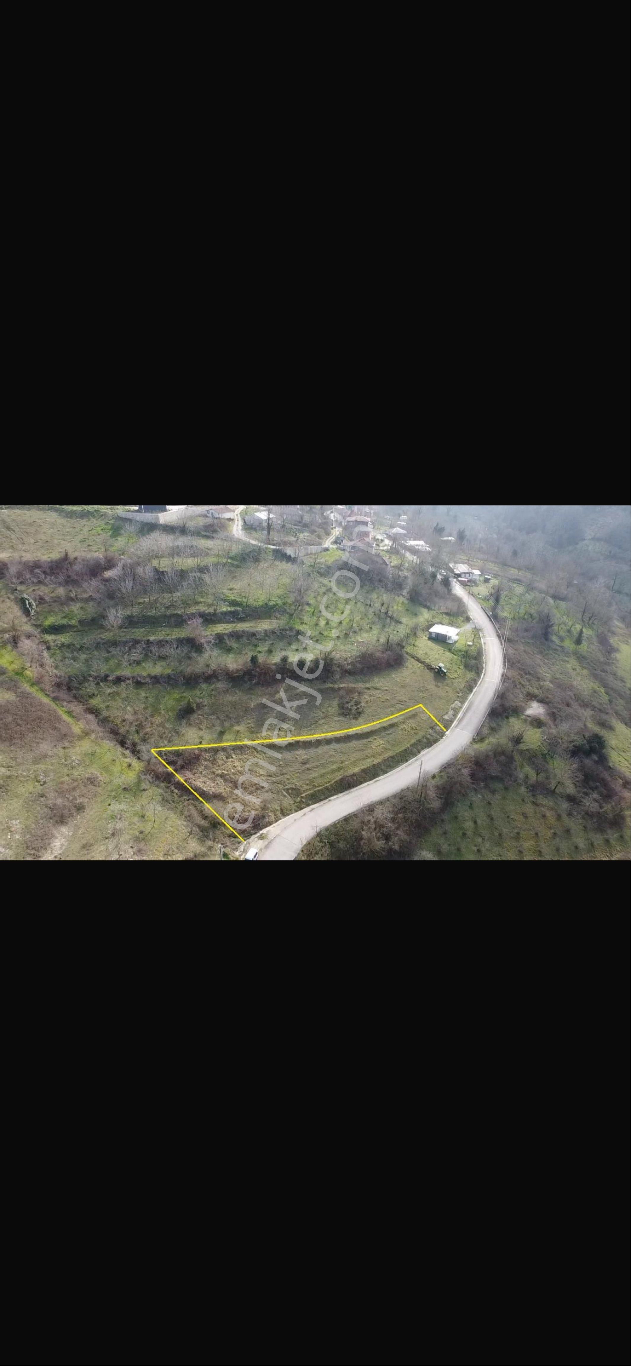 Yol Kenarı Doğanın İçinde Yüzde 5 İmarlı Yüzde 35 Sınır İlk İmar Alıcak Tarlalardan.