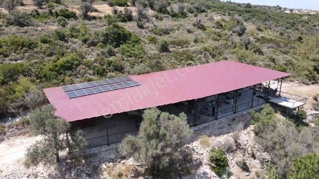 Morçiçek'ten Sasko'da Denize 180metre Mesafede Tarla&tiny House - Görsel 4