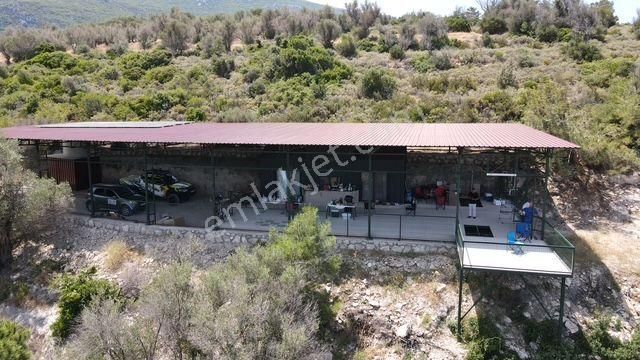 Morçiçek'ten Sasko'da Denize 180metre Mesafede Tarla&tiny House - Görsel 3