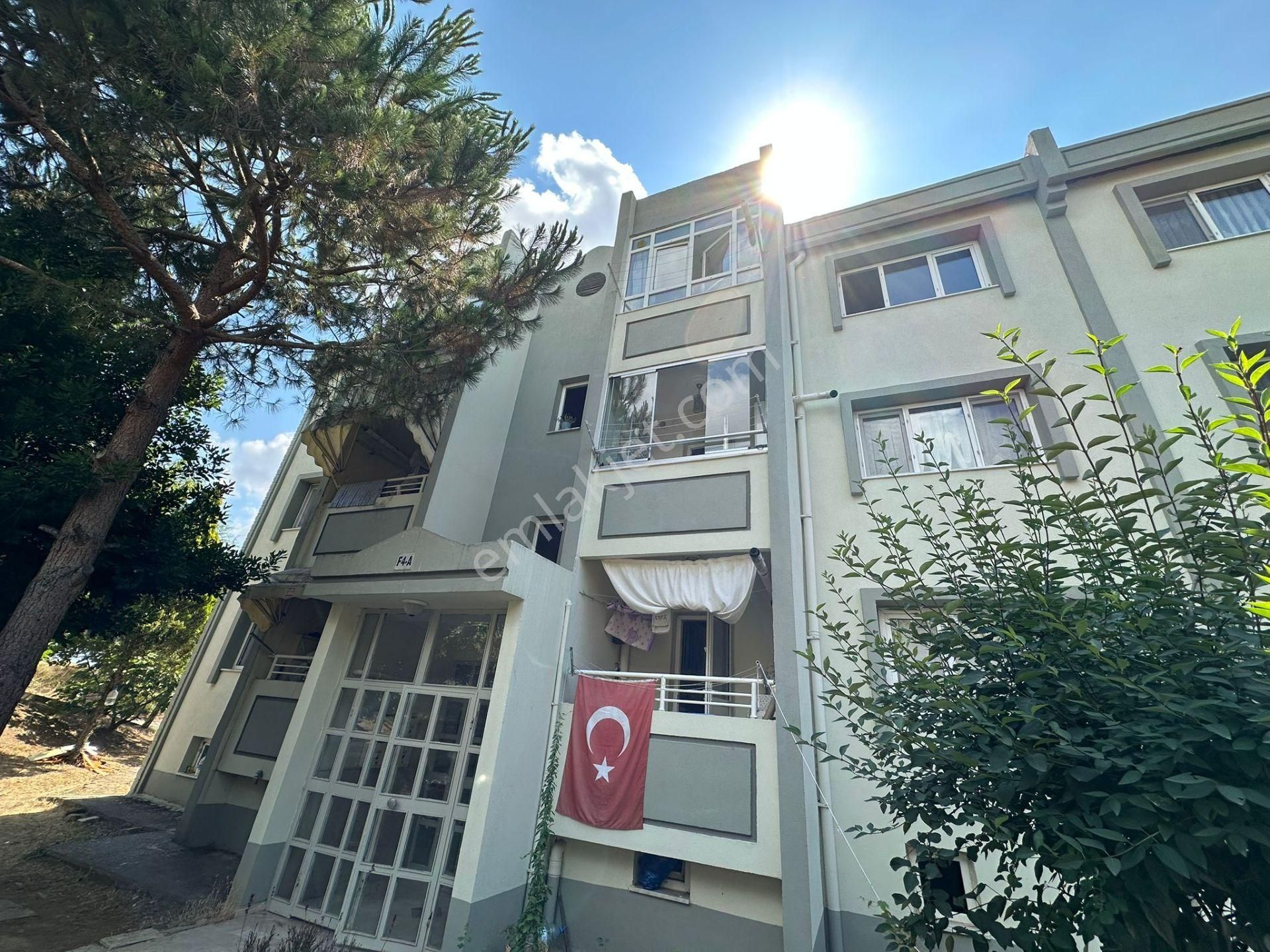 Korucuk Merkez'de Kiralık 2+1 Daire - Turgut Gayrimenkul