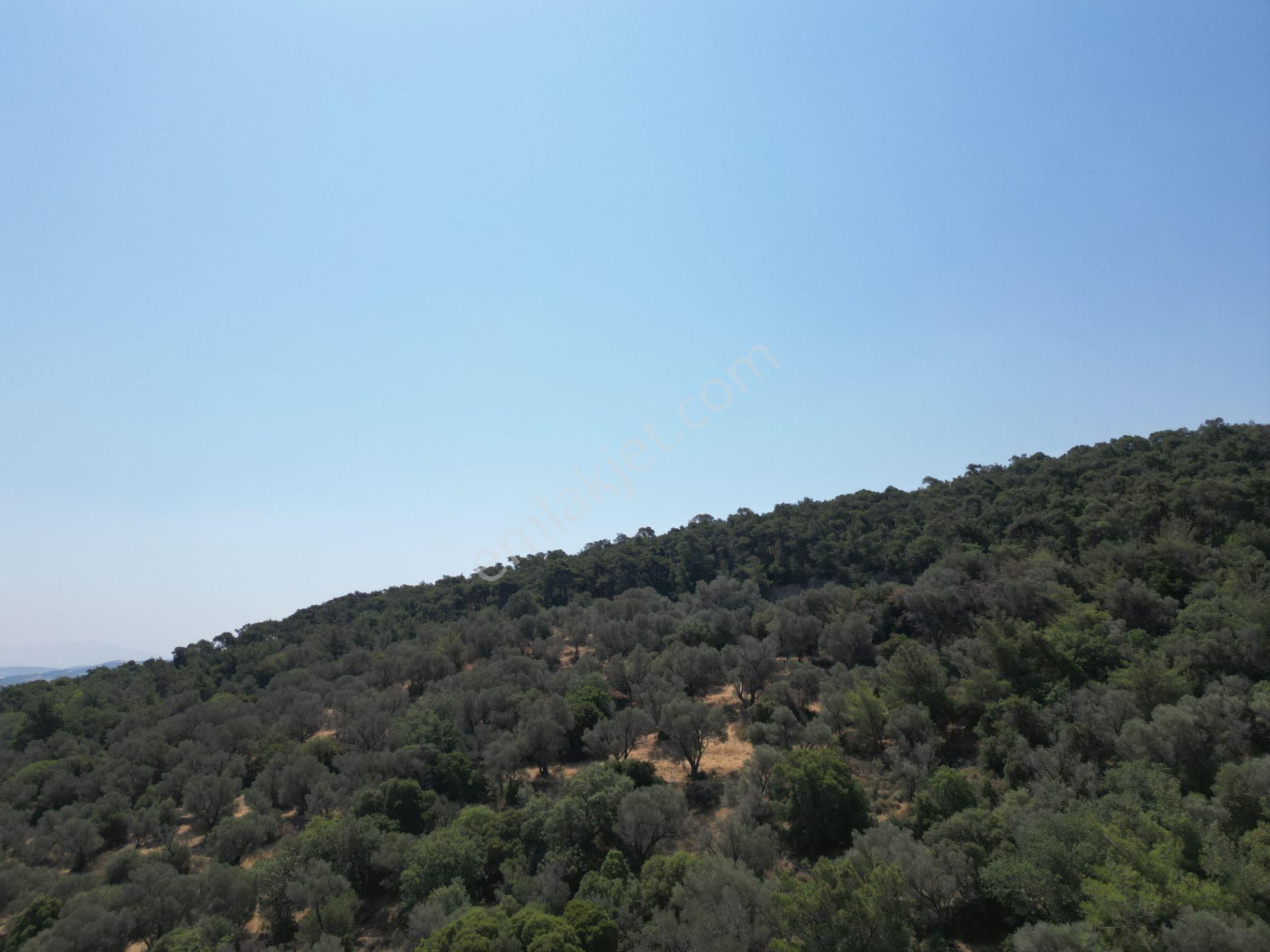 Yenifoça Fulya Sitesinde Full Deniz Manzaralı 353m2 Satılık Arsa - Görsel 5