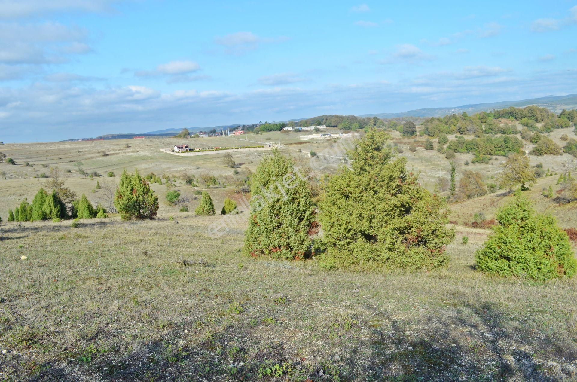 Gebze Duraklı'da Orman Yolu Olan Satılık 3.500 M² Arsa - Görsel 2