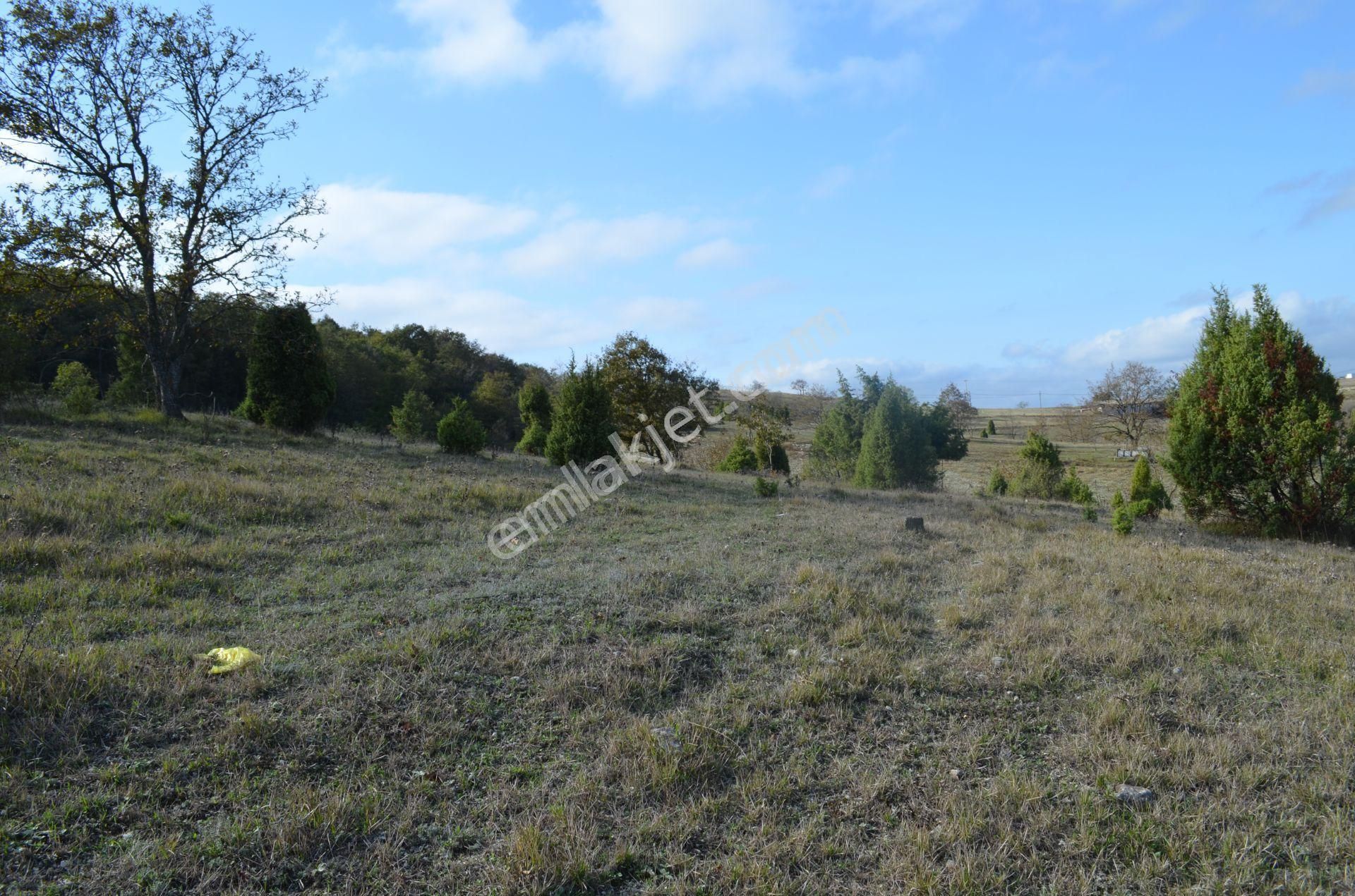 Gebze Duraklı'da Orman Yolu Olan Satılık 3.500 M² Arsa - Görsel 5