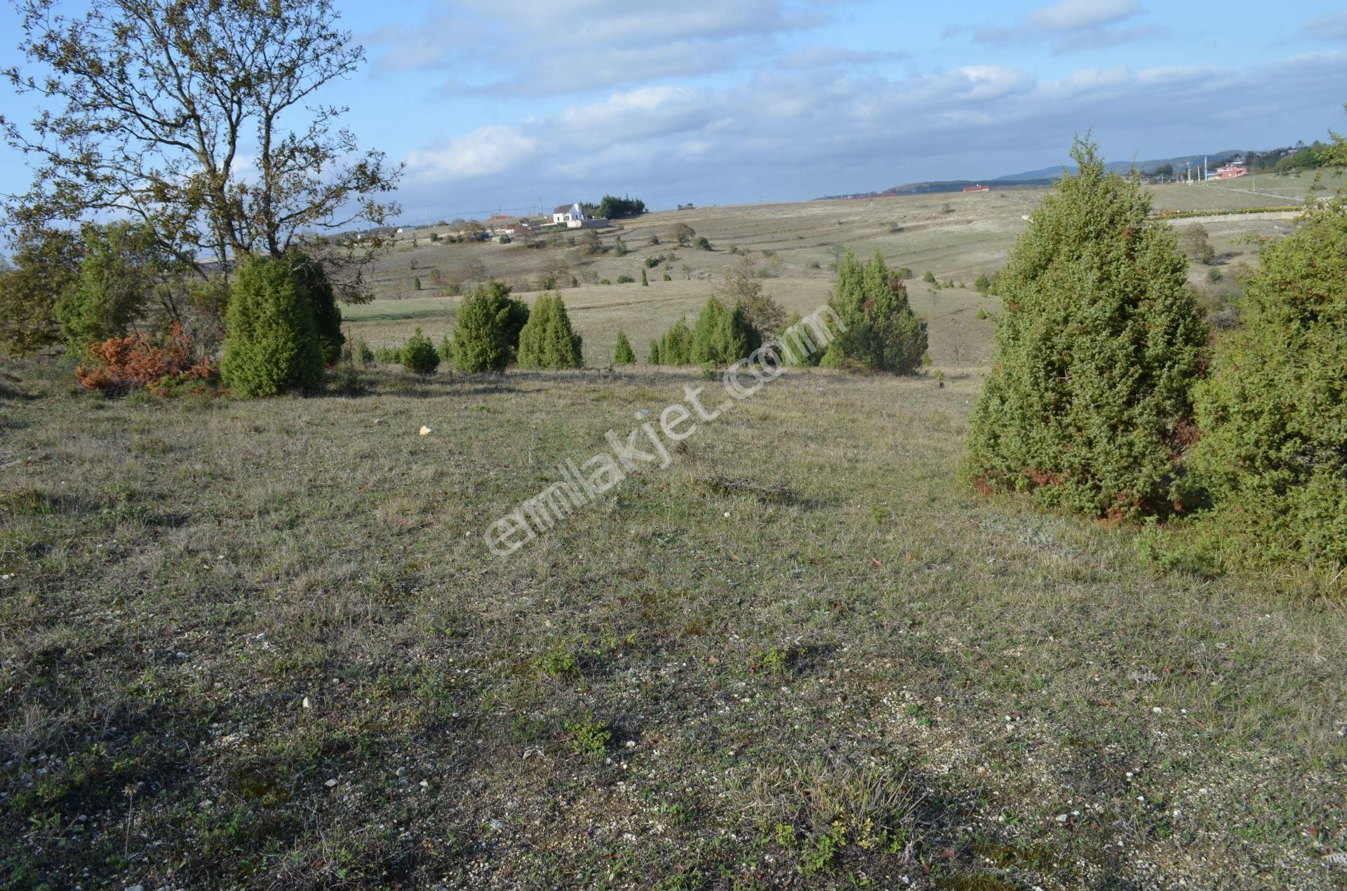 Gebze Duraklı'da Orman Yolu Olan Satılık 3.500 M² Arsa - Görsel 3