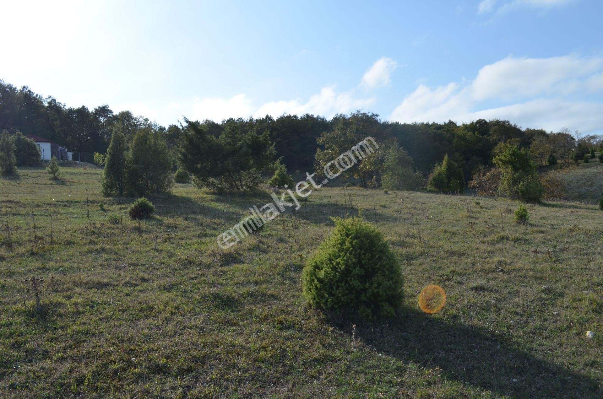 Gebze Duraklı'da Orman Yolu Olan Satılık 3.500 M² Arsa - Görsel 6