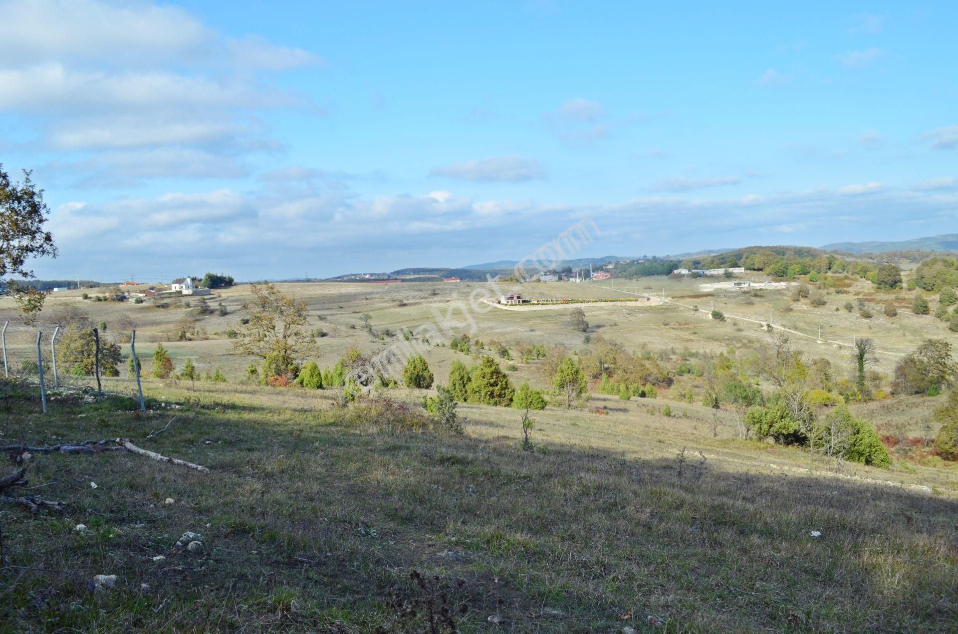 Gebze Duraklı'da Orman Yolu Olan Satılık 3.500 M² Arsa - Görsel 8