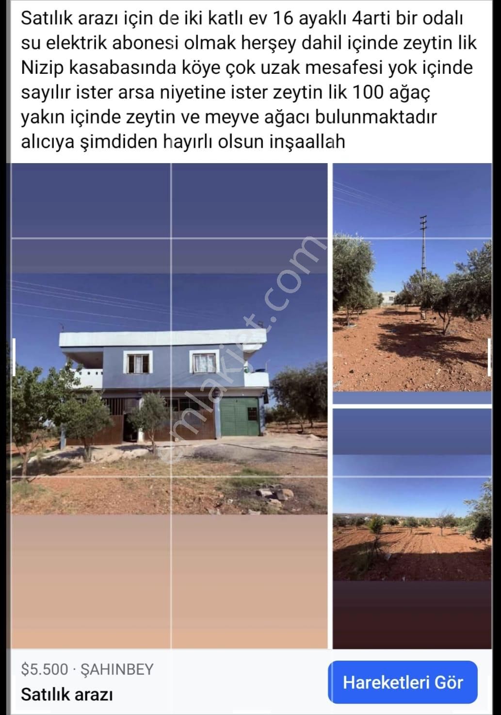 Sekili - Nizip ' De Satılık 4+2 Ve 2 Katlı Bağ Evi Ve Arazisi.
