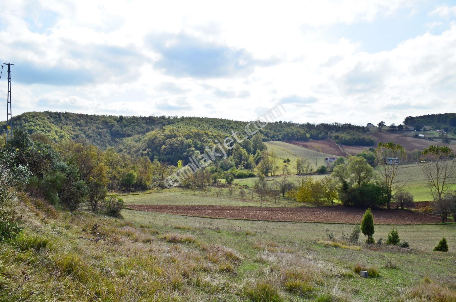 Gebze Duraklı'da Satılık 3.500m² Arsa - Görsel 7