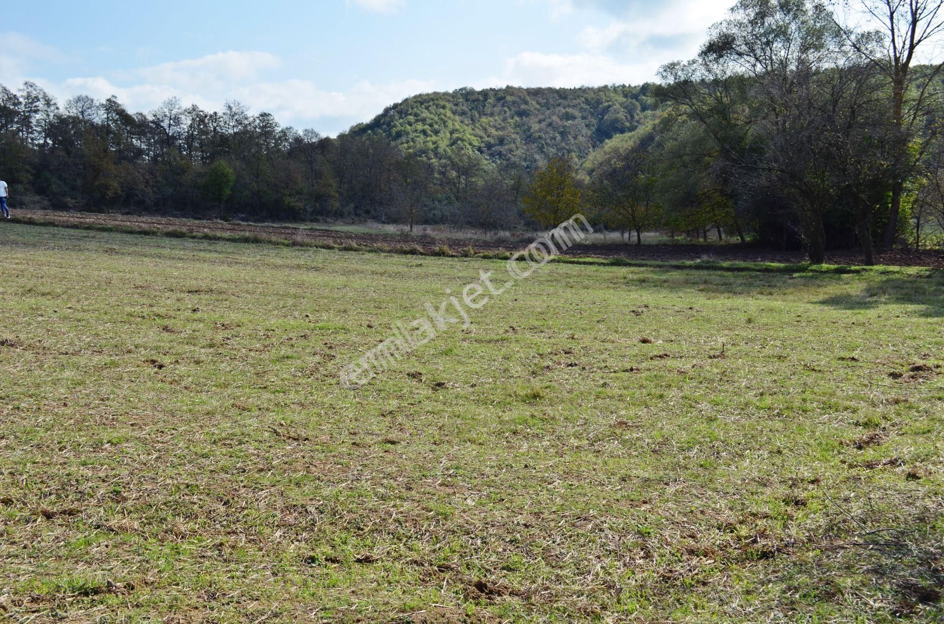 Gebze Duraklı'da Satılık 3.500m² Arsa - Görsel 6