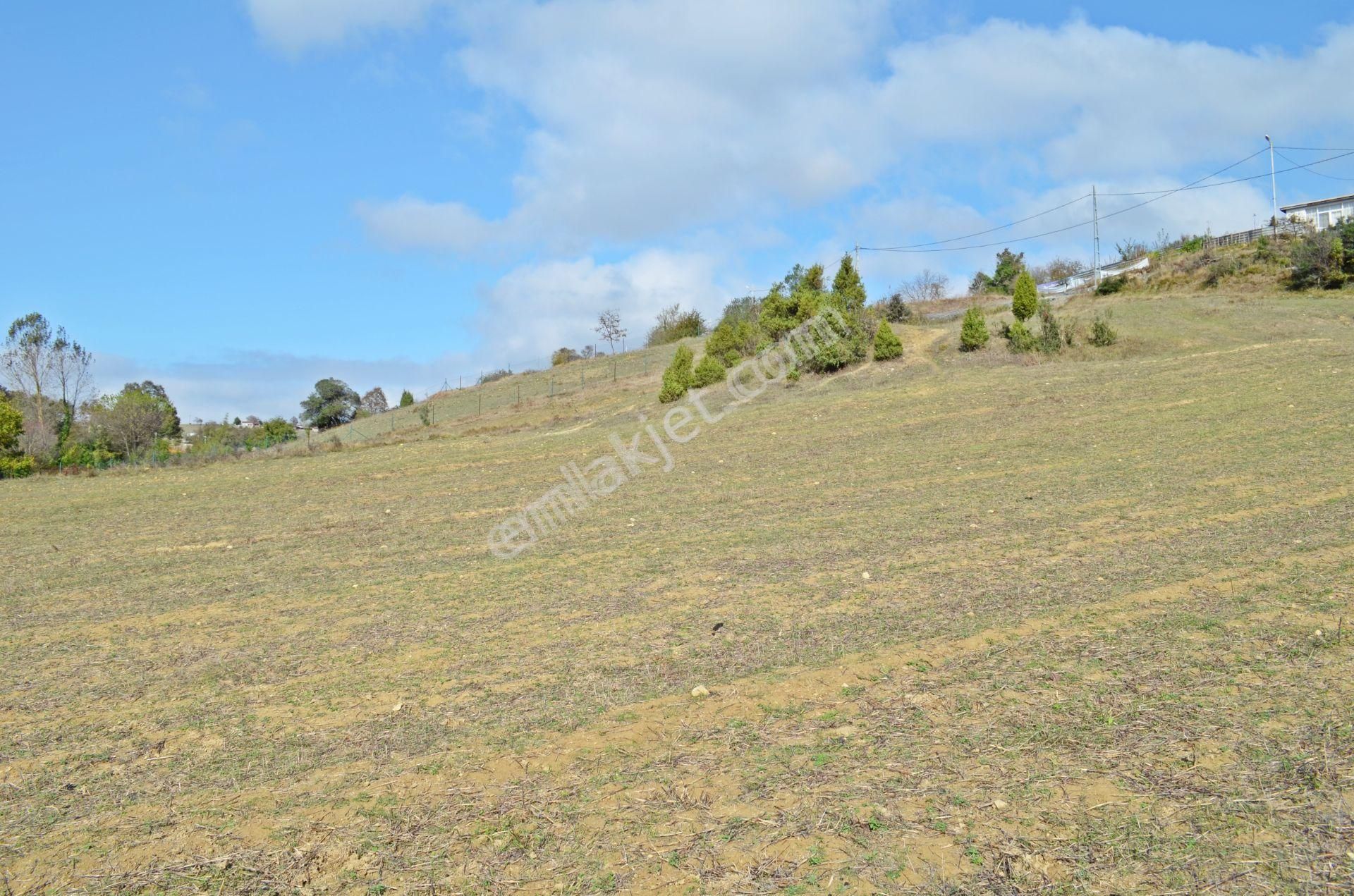 Gebze Duraklı'da Satılık 3.500m² Arsa - Görsel 3
