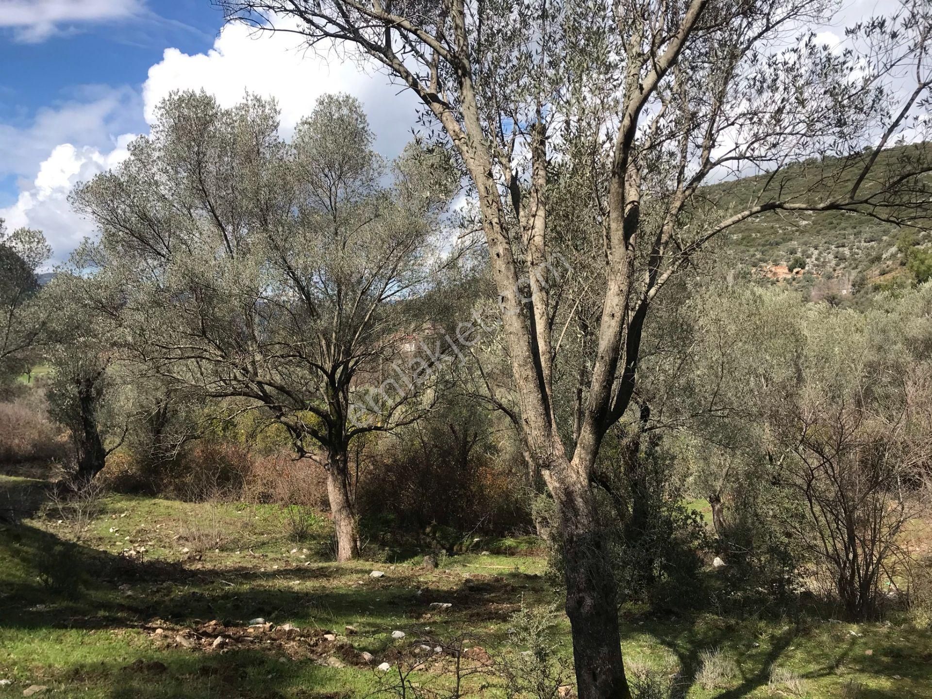 Çengerde Huzurlu Doğa Ortamında Pazarlıklı Satılık Arsa Fırsat - Görsel 17