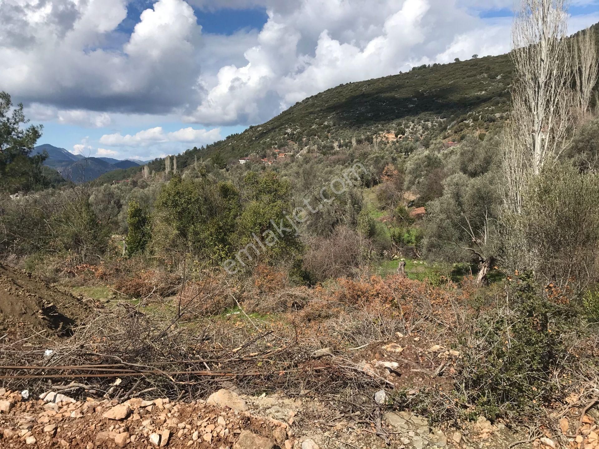 Çengerde Huzurlu Doğa Ortamında Pazarlıklı Satılık Arsa Fırsat - Görsel 4