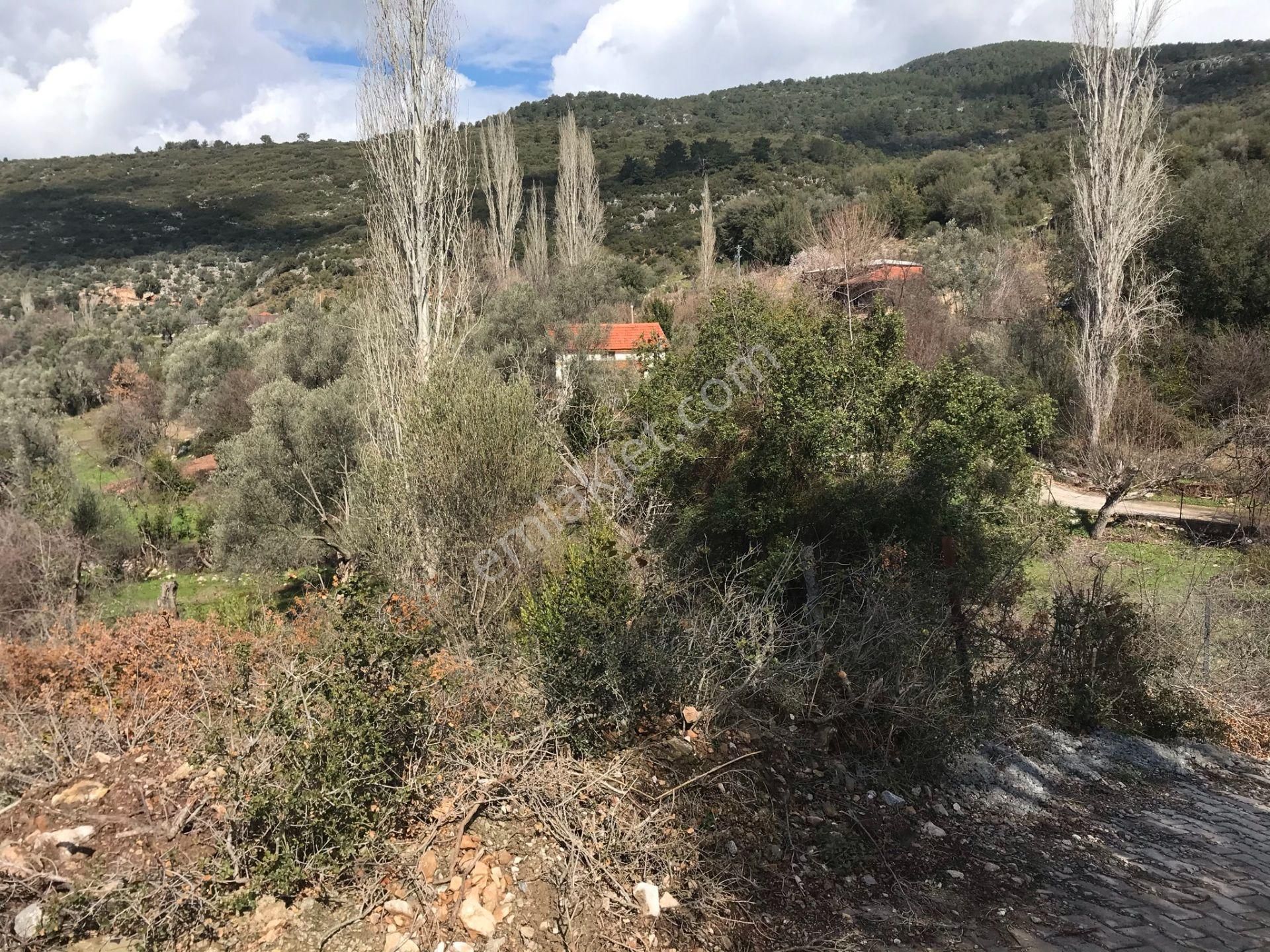 Çengerde Huzurlu Doğa Ortamında Pazarlıklı Satılık Arsa Fırsat - Görsel 5