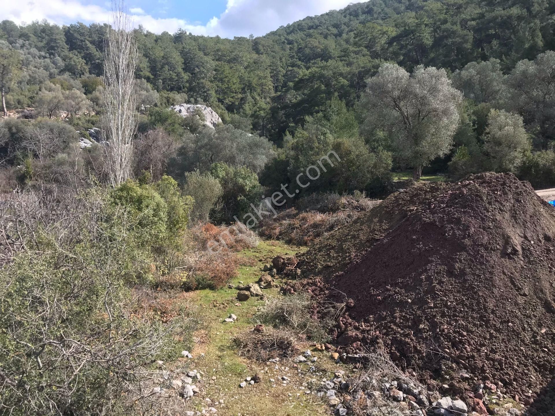 Çengerde Huzurlu Doğa Ortamında Pazarlıklı Satılık Arsa Fırsat - Görsel 7