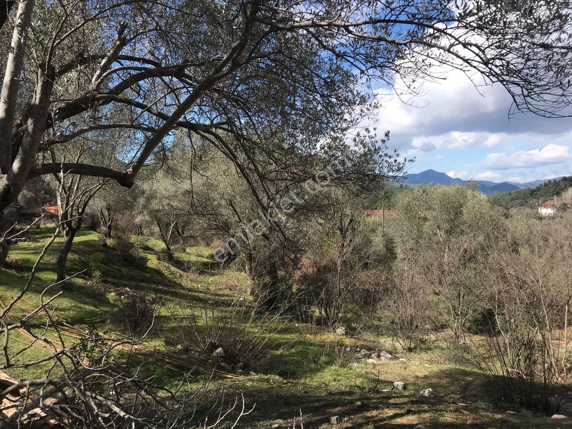 Çengerde Huzurlu Doğa Ortamında Pazarlıklı Satılık Arsa Fırsat - Görsel 12