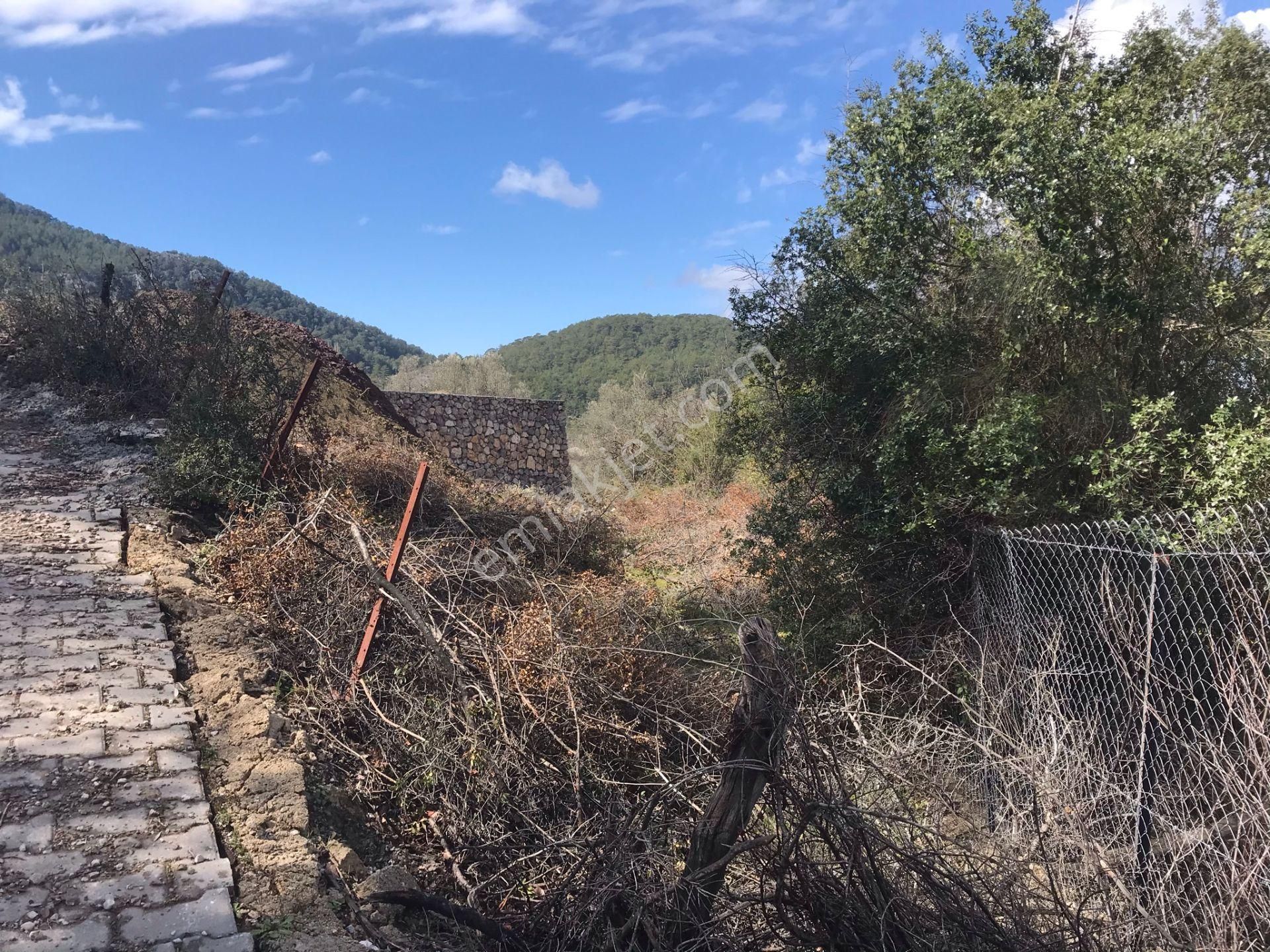 Çengerde Huzurlu Doğa Ortamında Pazarlıklı Satılık Arsa Fırsat - Görsel 2