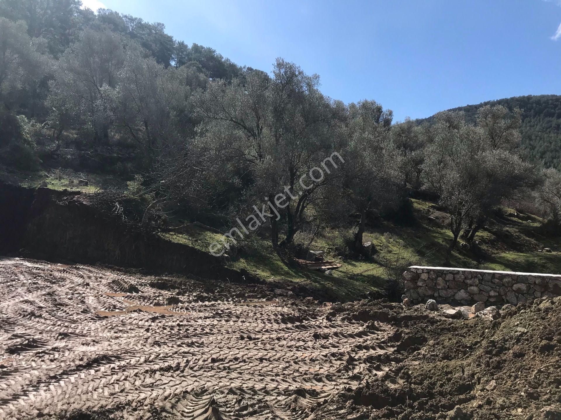 Çengerde Huzurlu Doğa Ortamında Pazarlıklı Satılık Arsa Fırsat - Görsel 10