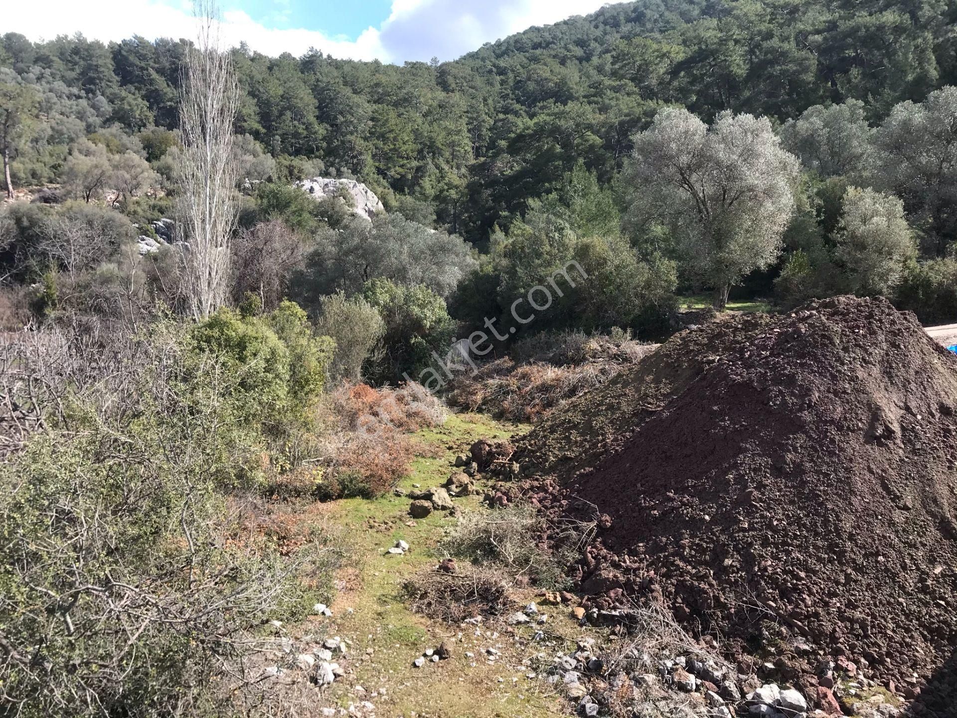 Çengerde Huzurlu Doğa Ortamında Pazarlıklı Satılık Arsa Fırsat - Görsel 6