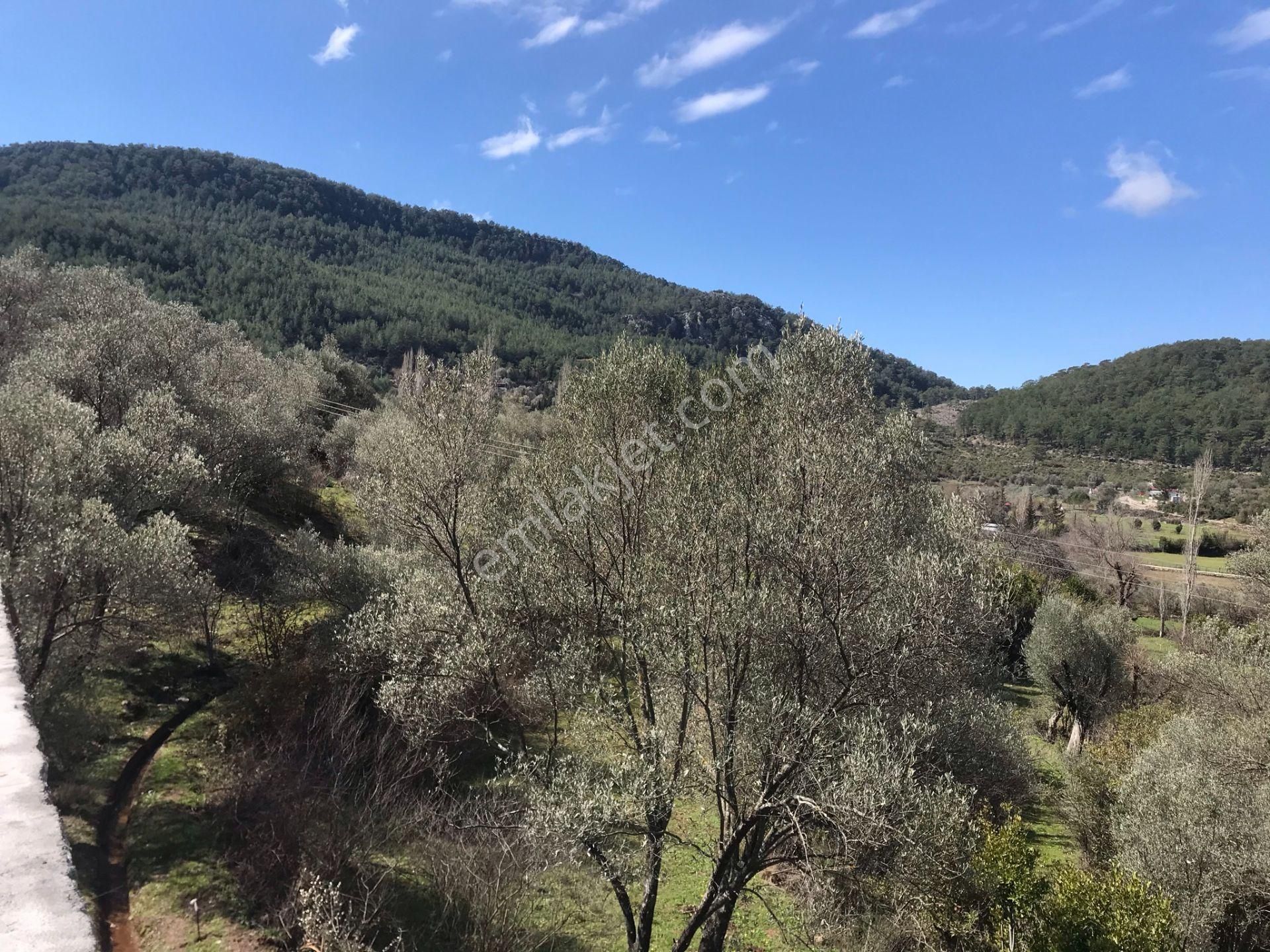 Çengerde Huzurlu Doğa Ortamında Pazarlıklı Satılık Arsa Fırsat - Görsel 8