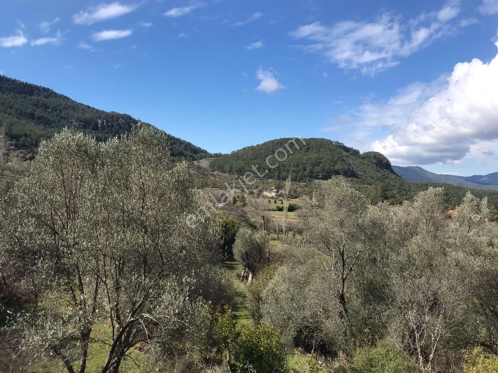 Çengerde Huzurlu Doğa Ortamında Pazarlıklı Satılık Arsa Fırsat - Görsel 9