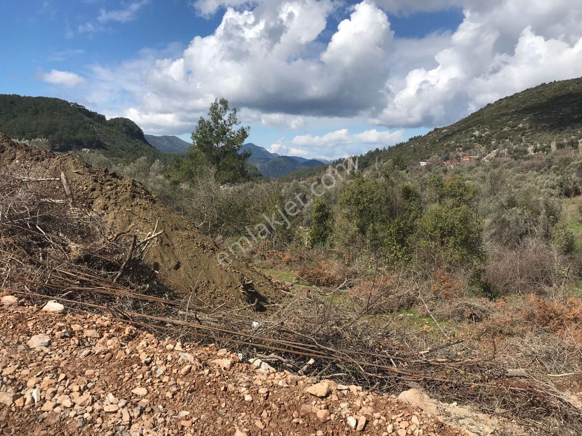 Çengerde Huzurlu Doğa Ortamında Pazarlıklı Satılık Arsa Fırsat - Görsel 3