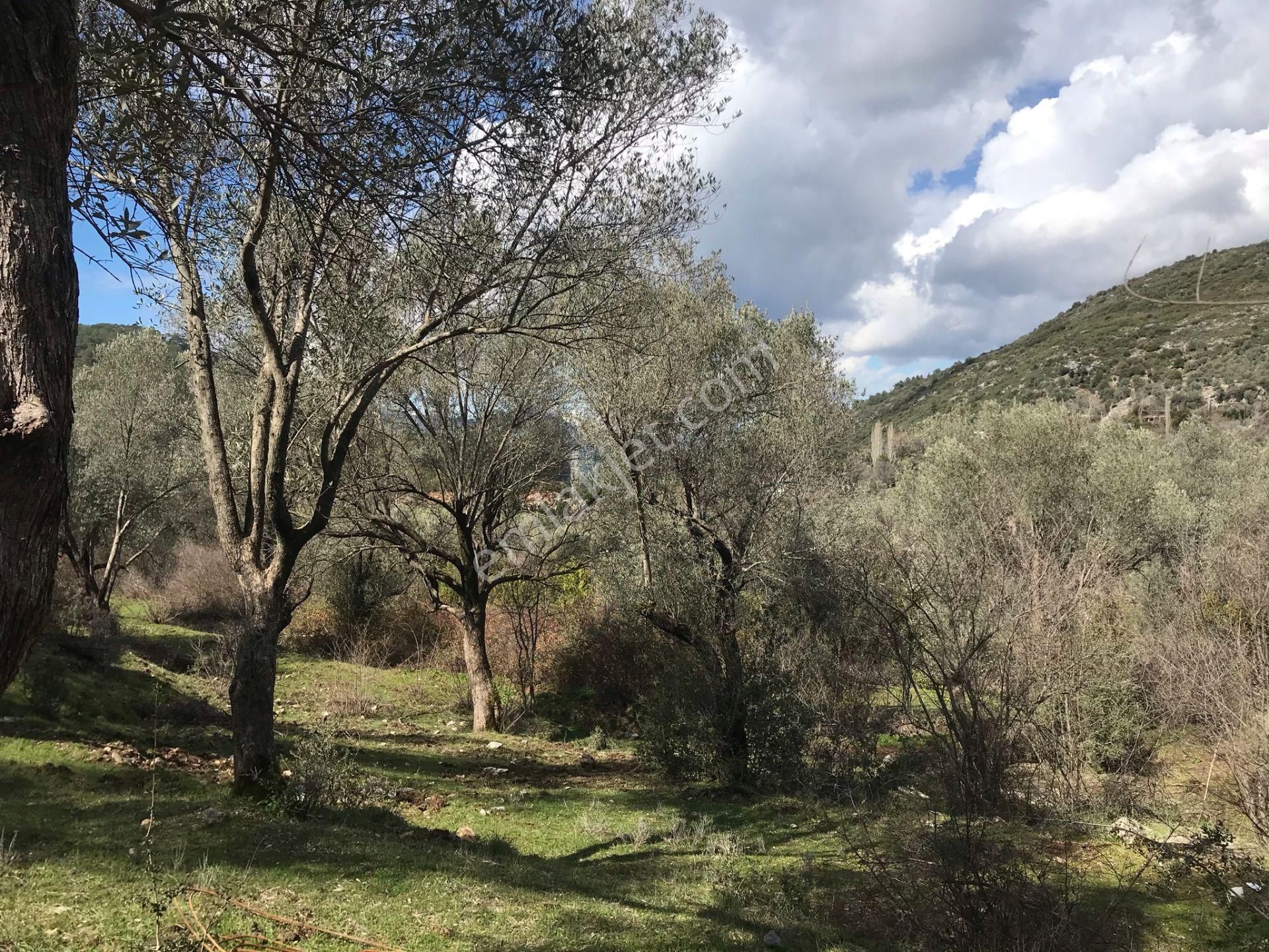 Çengerde Huzurlu Doğa Ortamında Pazarlıklı Satılık Arsa Fırsat - Görsel 14