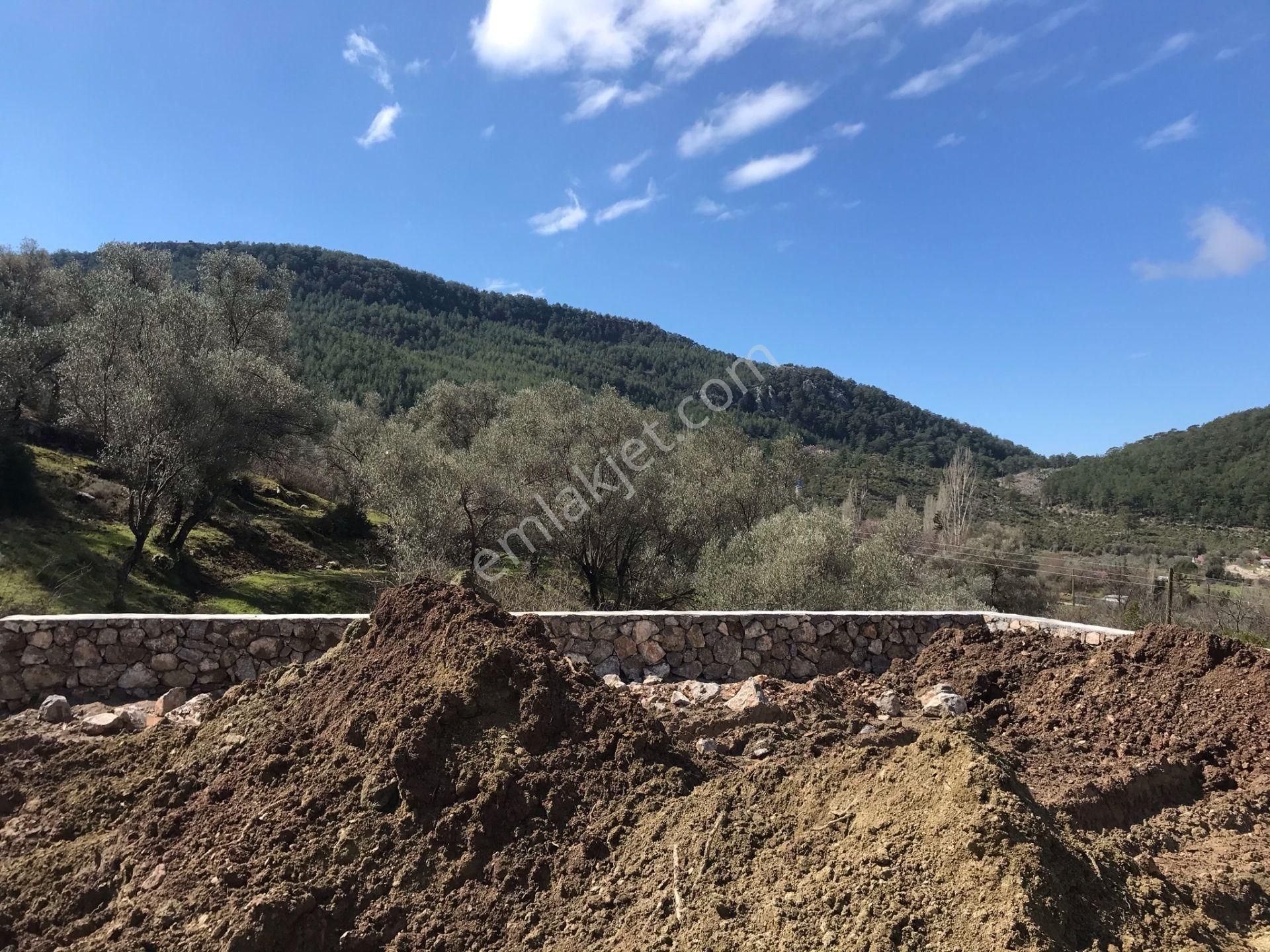 Çengerde Huzurlu Doğa Ortamında Pazarlıklı Satılık Arsa Fırsat - Görsel 11