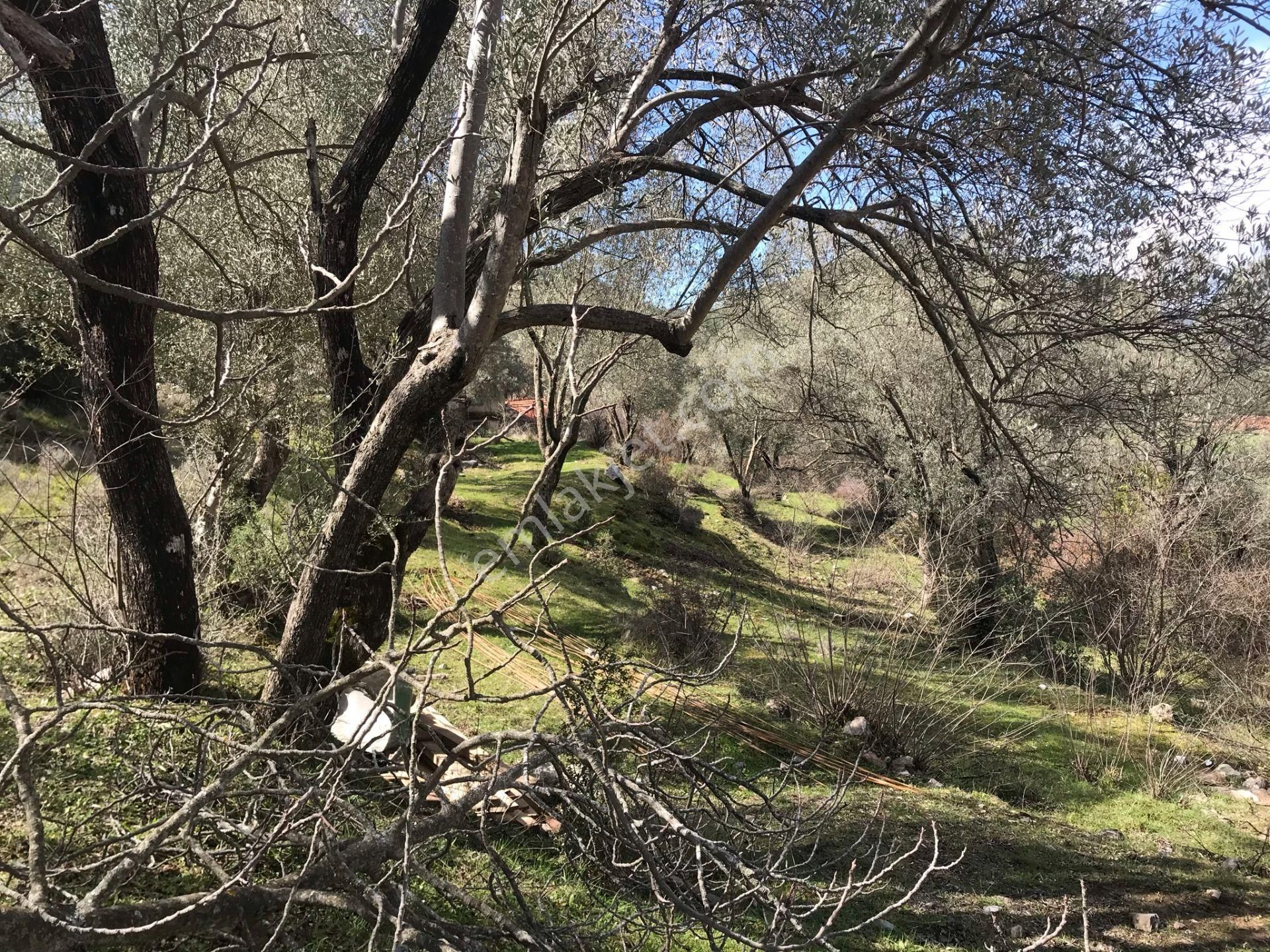 Çengerde Huzurlu Doğa Ortamında Pazarlıklı Satılık Arsa Fırsat - Görsel 13