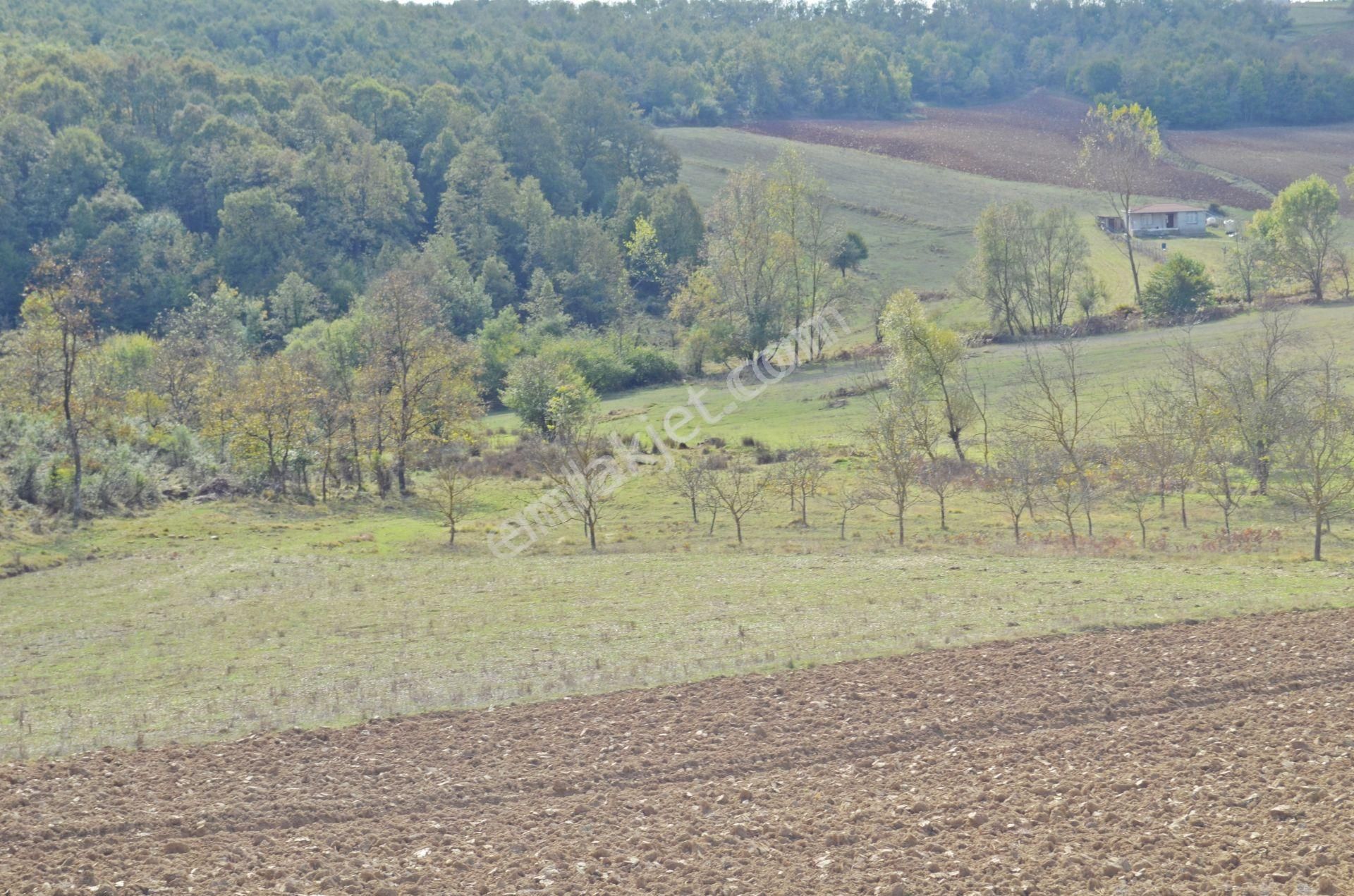 Kocaeli Gebze Duraklı Da Yolu Olan Köy Merkezinde 3.200 M² Satılık Tarla - Görsel 5