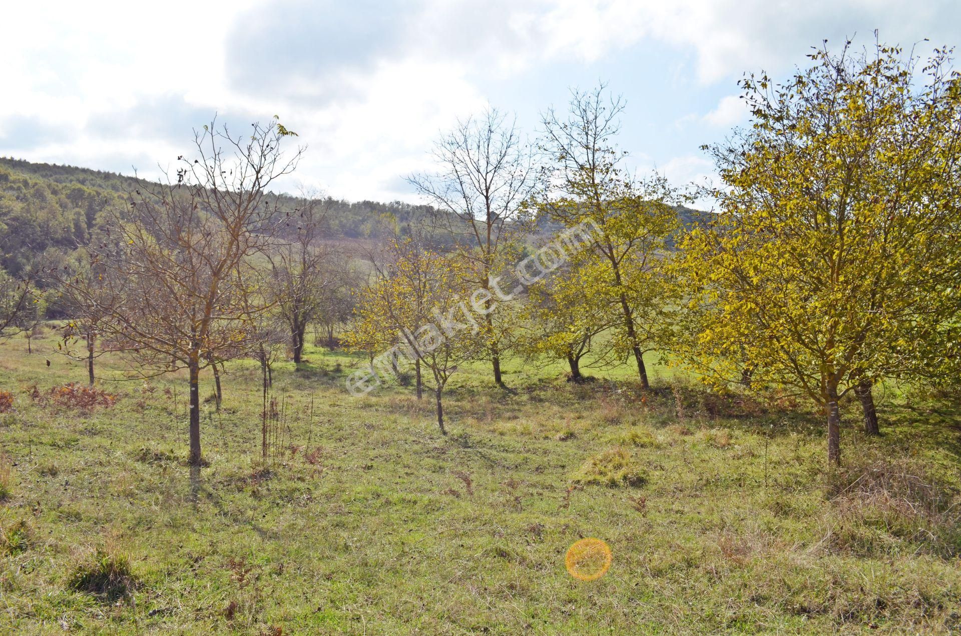 Kocaeli Gebze Duraklı Da Yolu Olan Köy Merkezinde 3.200 M² Satılık Tarla - Görsel 6