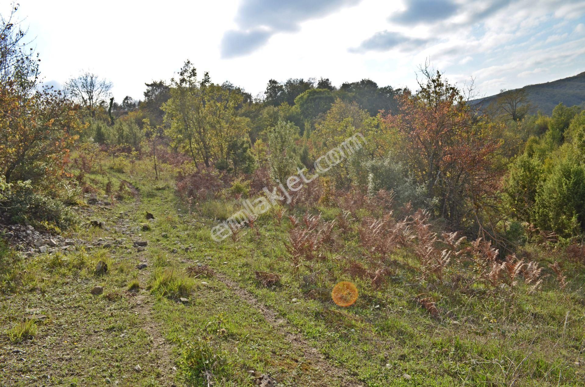 Gebze Elbizli Mahallesinde Satılık 3000m² Arsa - Görsel 5
