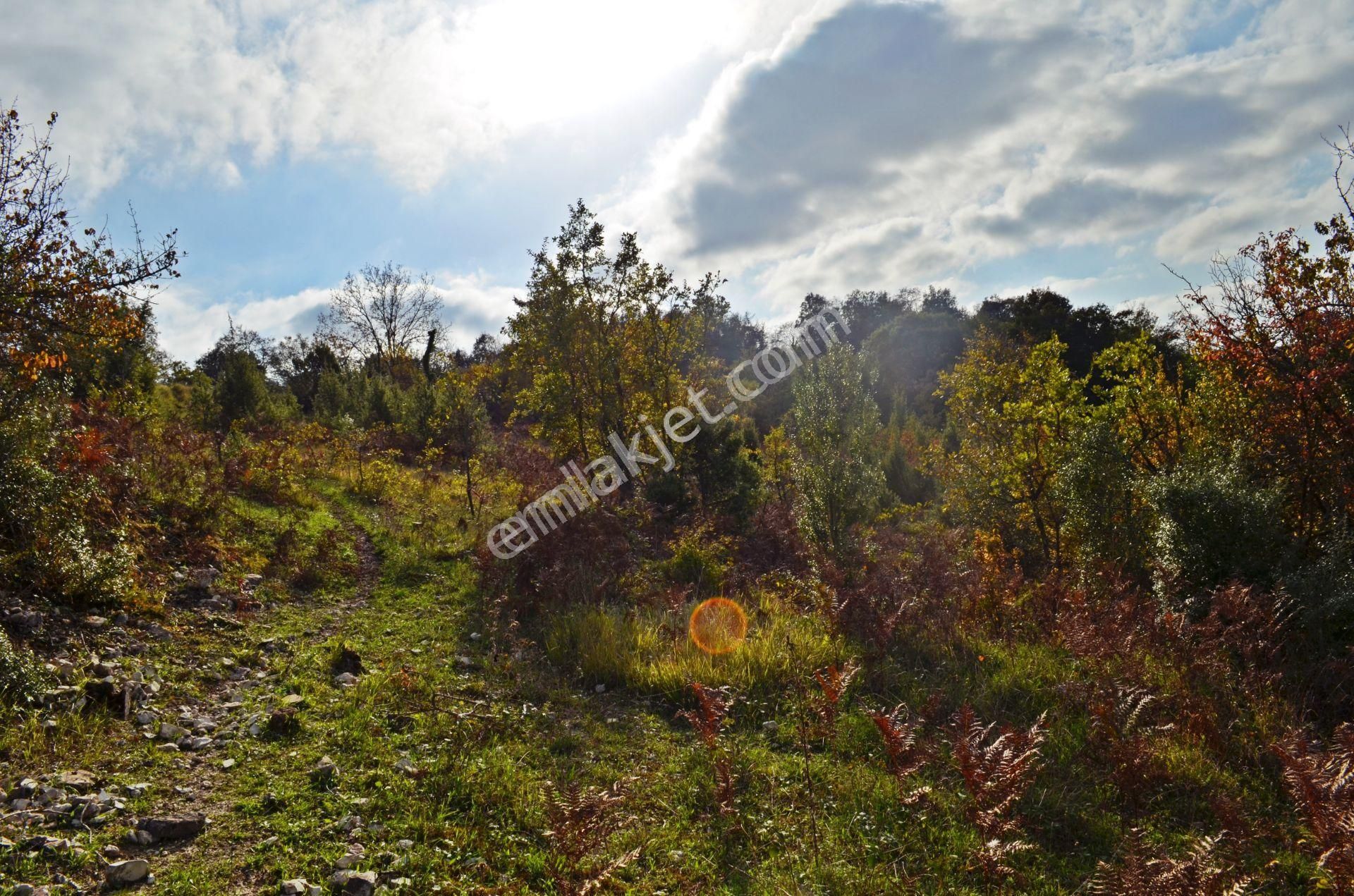 Gebze Elbizli Mahallesinde Satılık 3000m² Arsa - Görsel 3