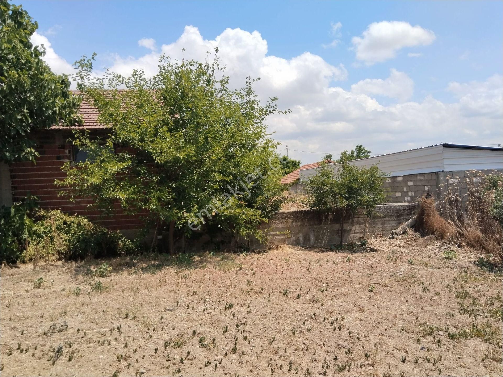 Bursa Yenişehir Çelebi Mah. Acil Satılık Çiftlik Evi Ve 1200 M2 Arsa Acil - Görsel 8