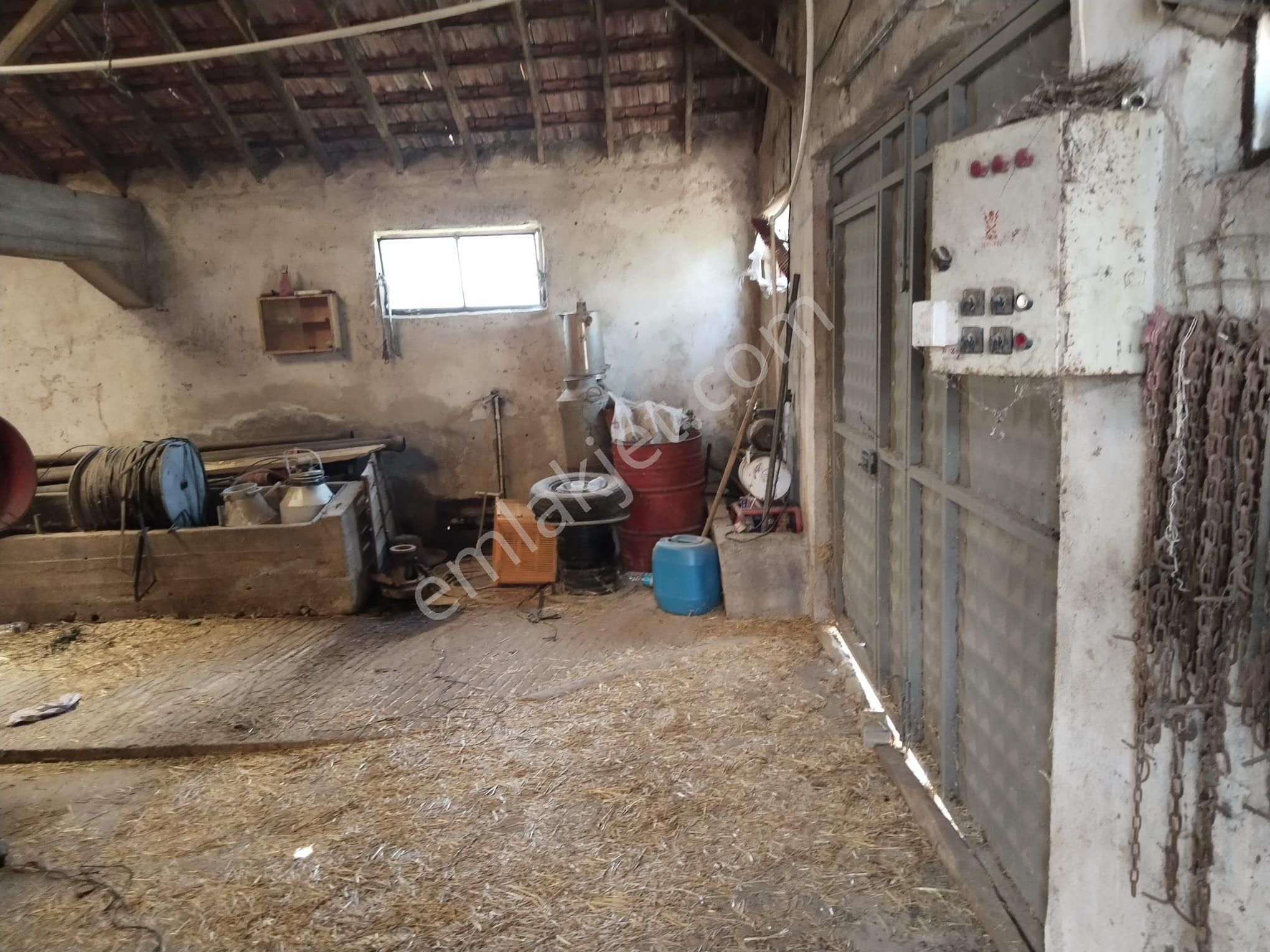 Bursa Yenişehir Çelebi Mah. Acil Satılık Çiftlik Evi Ve 1200 M2 Arsa Acil - Görsel 12