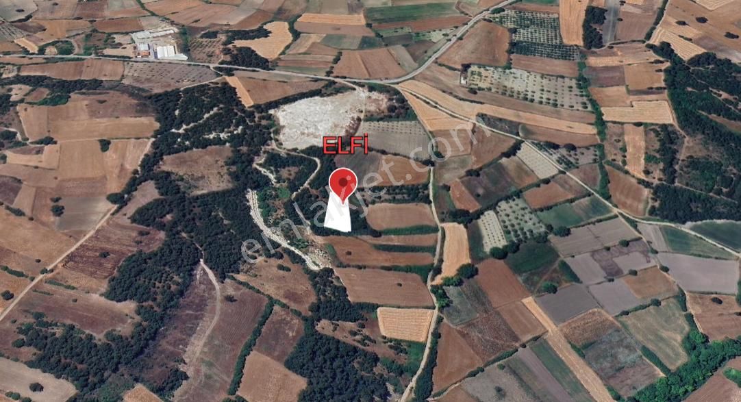 Elfi Den Bereketli Mahallesinde 1688 M2 Satılık Tarla