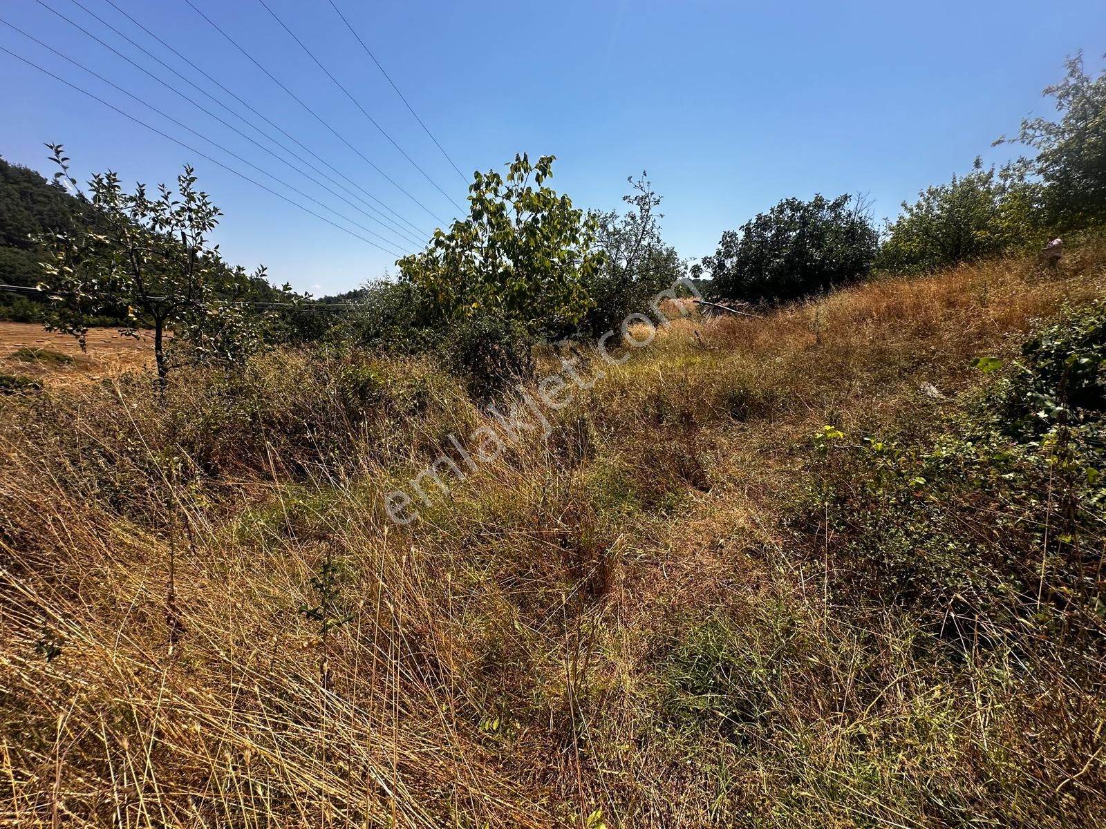 Çanakkale Çan Üvezdere Köyün'de Köy İçi İmarlı Satılık Arsa - Görsel 2