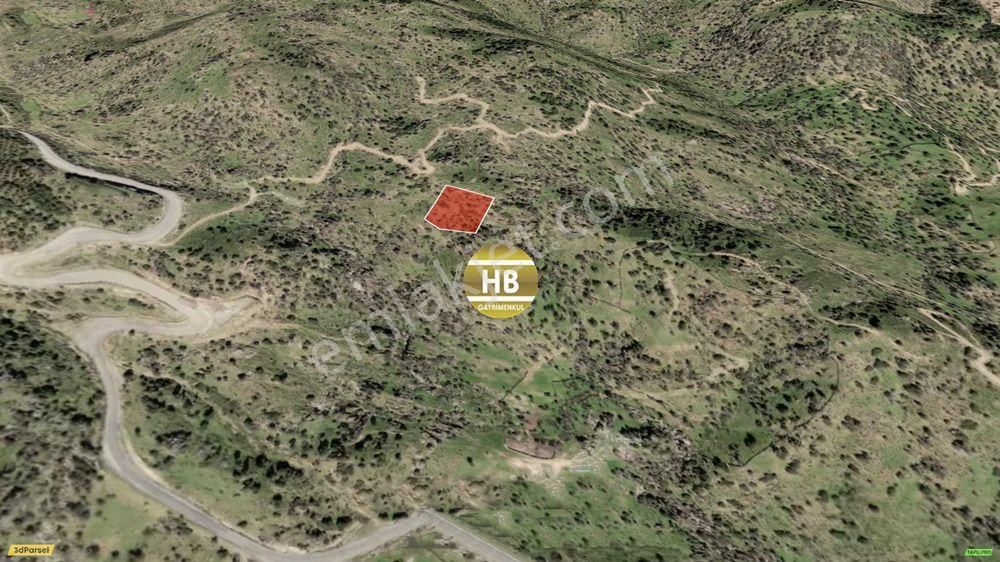 Hb'den Satılık Zeytinlik, Karpuzlu Gölcük Köyü'nde Araç Yoluna Çok Yakın Karpuzlu'ya 5 Km - Görsel 3