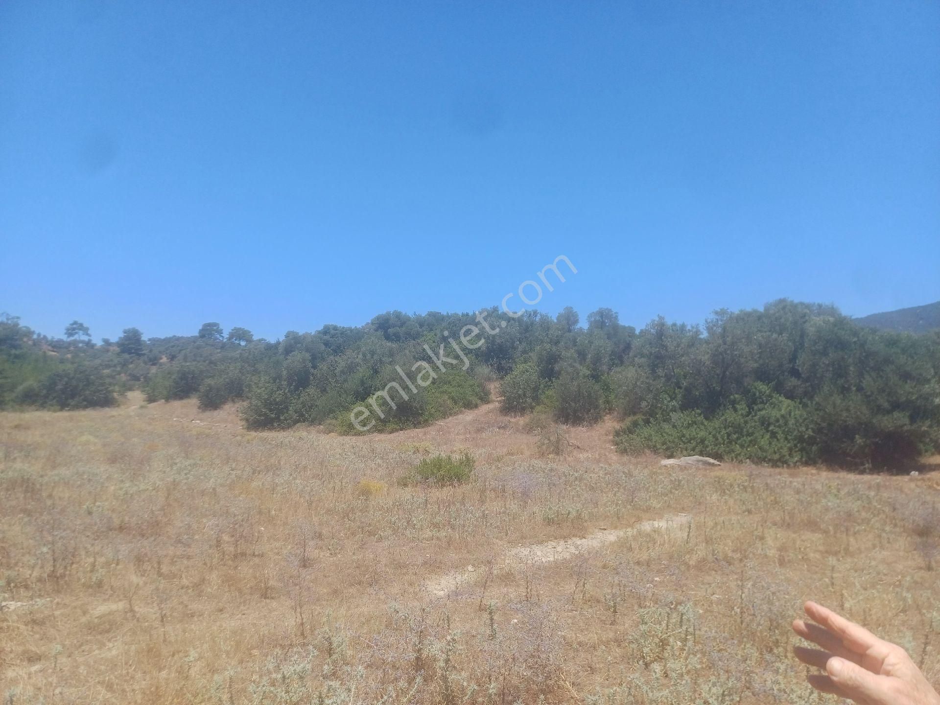 Kazikli Mahallesinde Satılık 14 Dönüm Tarla - Görsel 8
