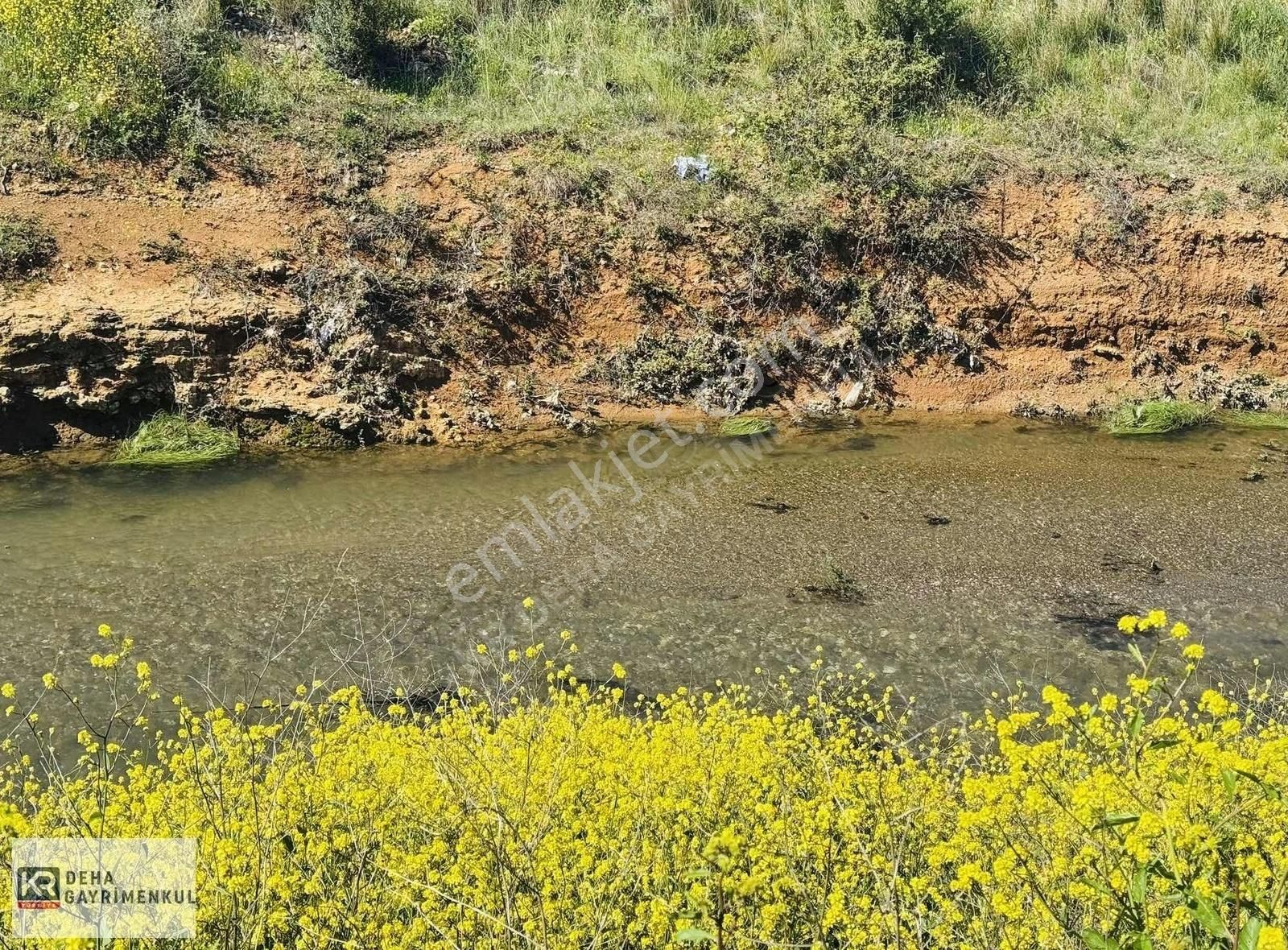 Bursa Karacabey Şahin Köy'de Satılık Tarla