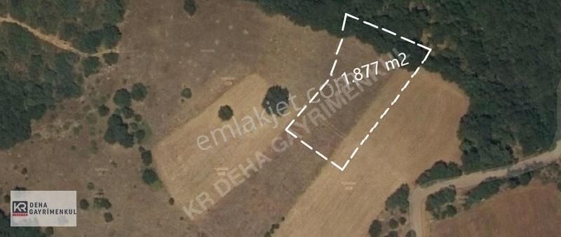 Kr Deha'dan Bursa İnegöl Dömez De 1.817 M2 Satılık Tarla