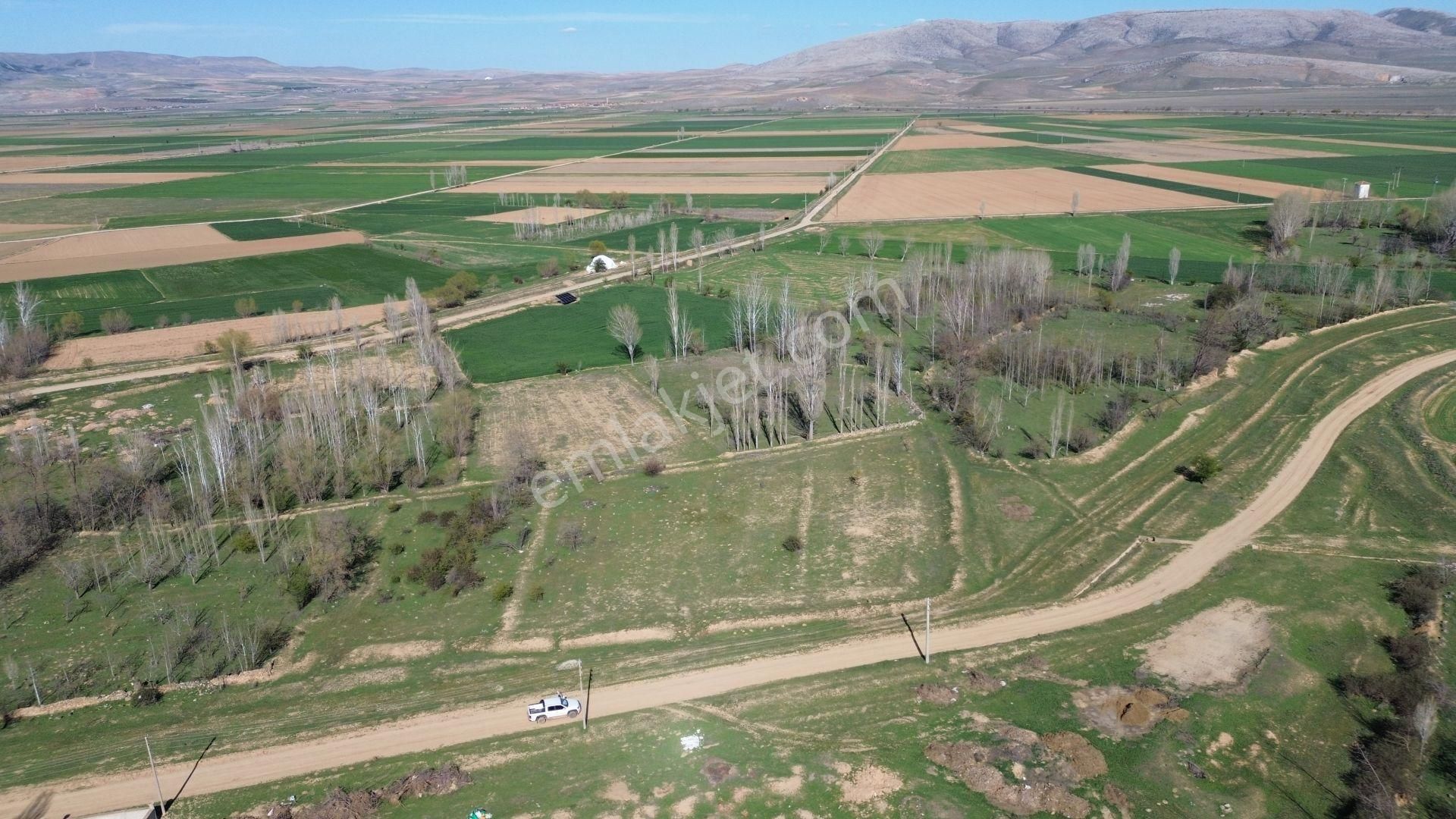 Konya / Ilgın / Çavuşcu Mahallesinde 301 M² Müstakil Tapulu Konut İmarlı Arsa